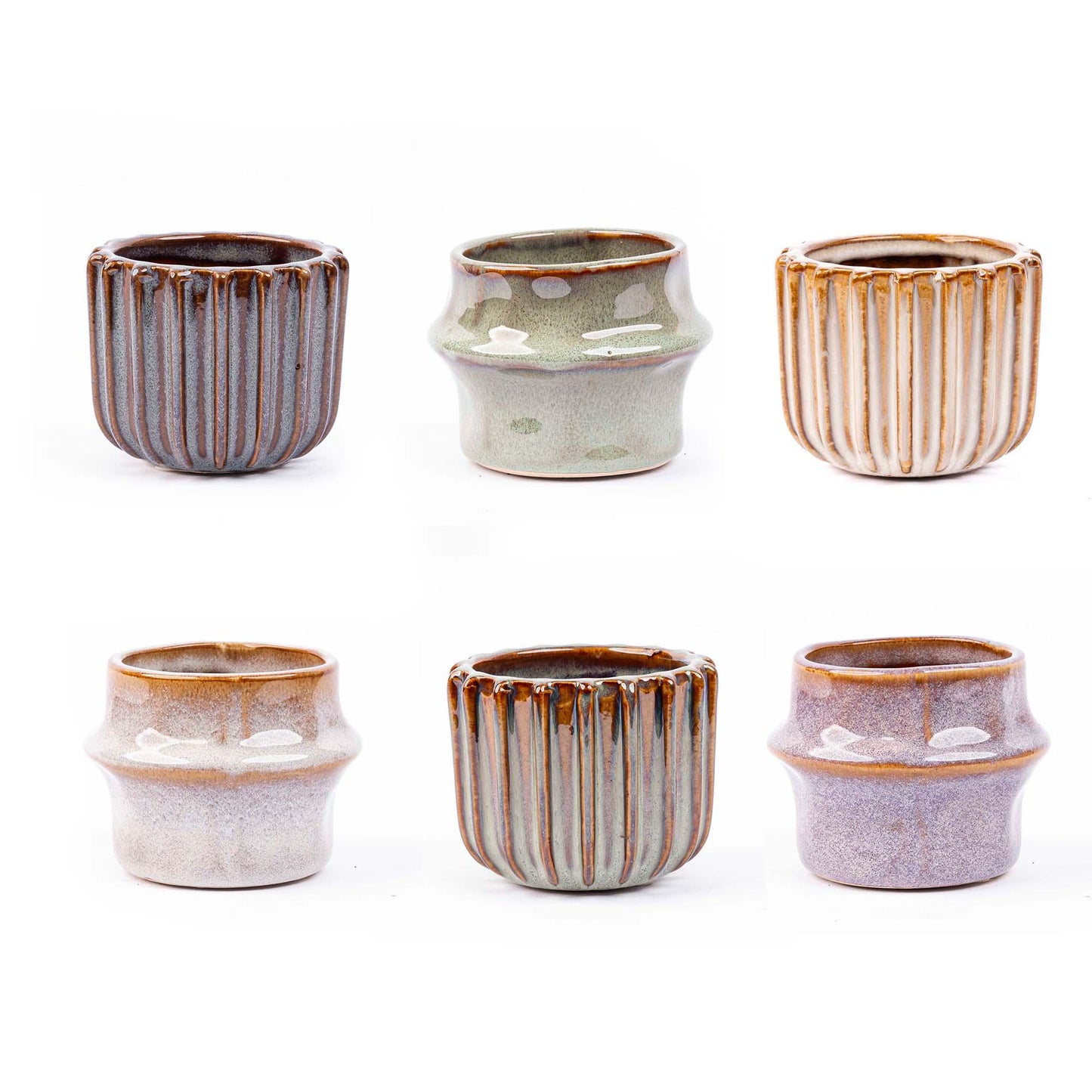 Mini planten set 6 - Inclusief pot set Barcelona - Pflanzfix24