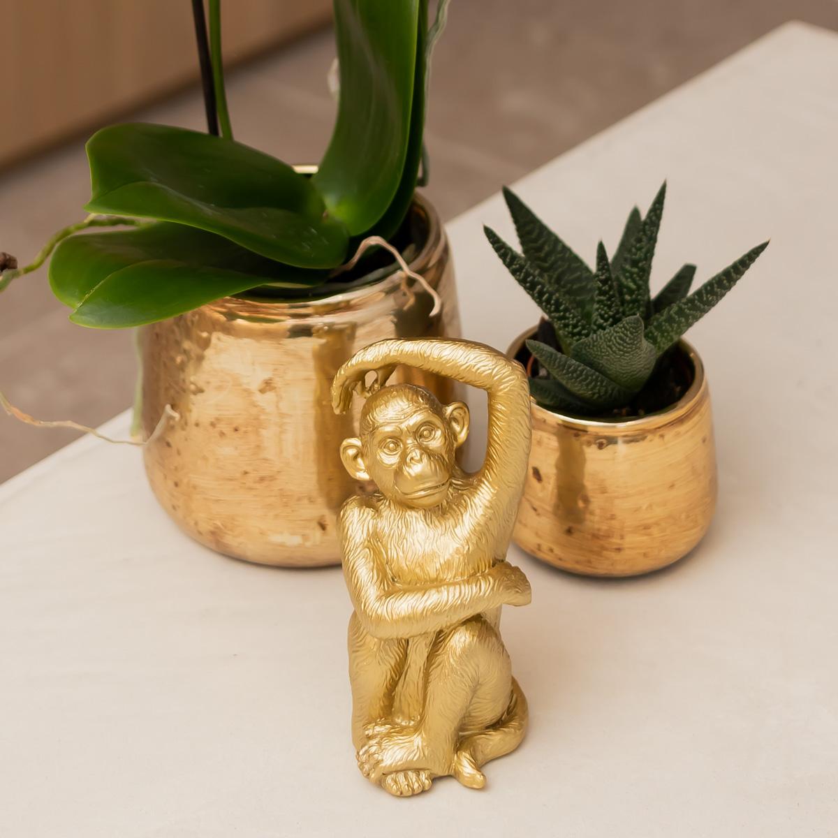 Sitzender Affe Dekofigur Gold – Kolibri Home | Pflanzfix24.de - Pflanzfix24.de