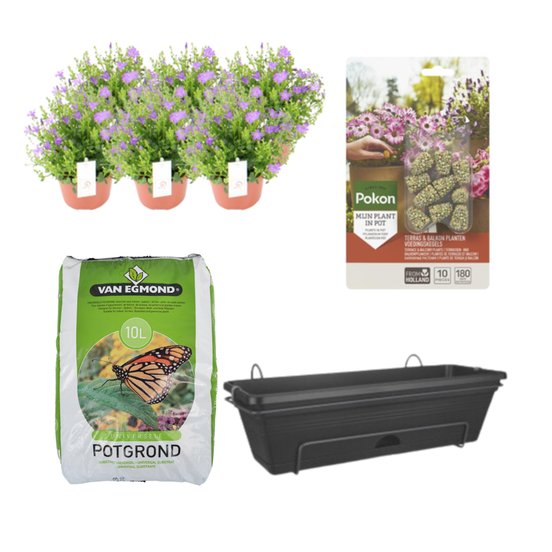 Balkonpflanzgefäß Schwarz DIY-Set - Campanula - Pflanzfix24.de - Pflanzfix24.de