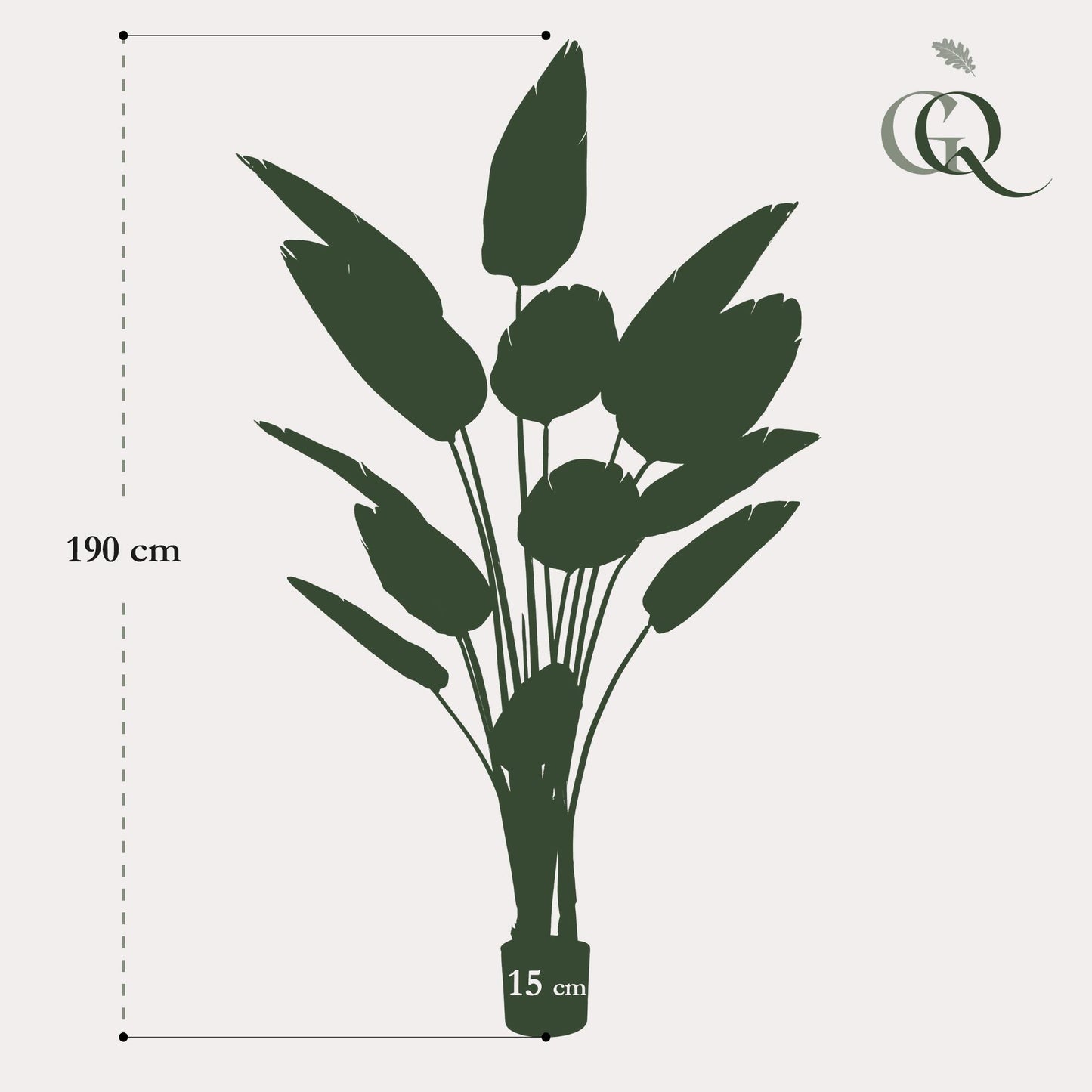 Kunst-Strelitzia Nicolai 190 cm – Paradiesvogelblume | Pflanzfix24.de - Pflanzfix24.de