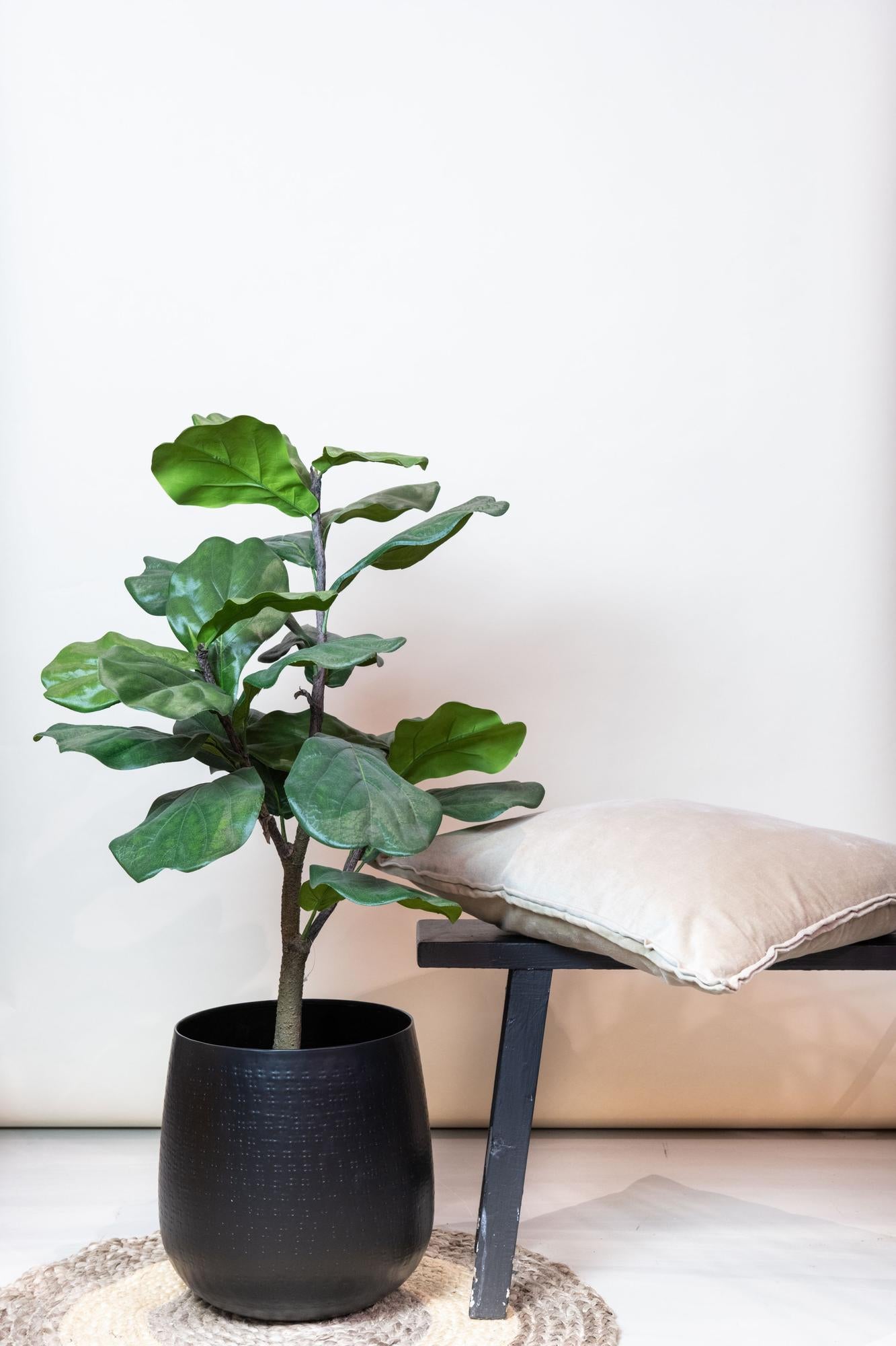 Ficus Lyrata Kunstpflanze 90cm – Tabakpflanze | Pflanzfix24.de - Pflanzfix24.de