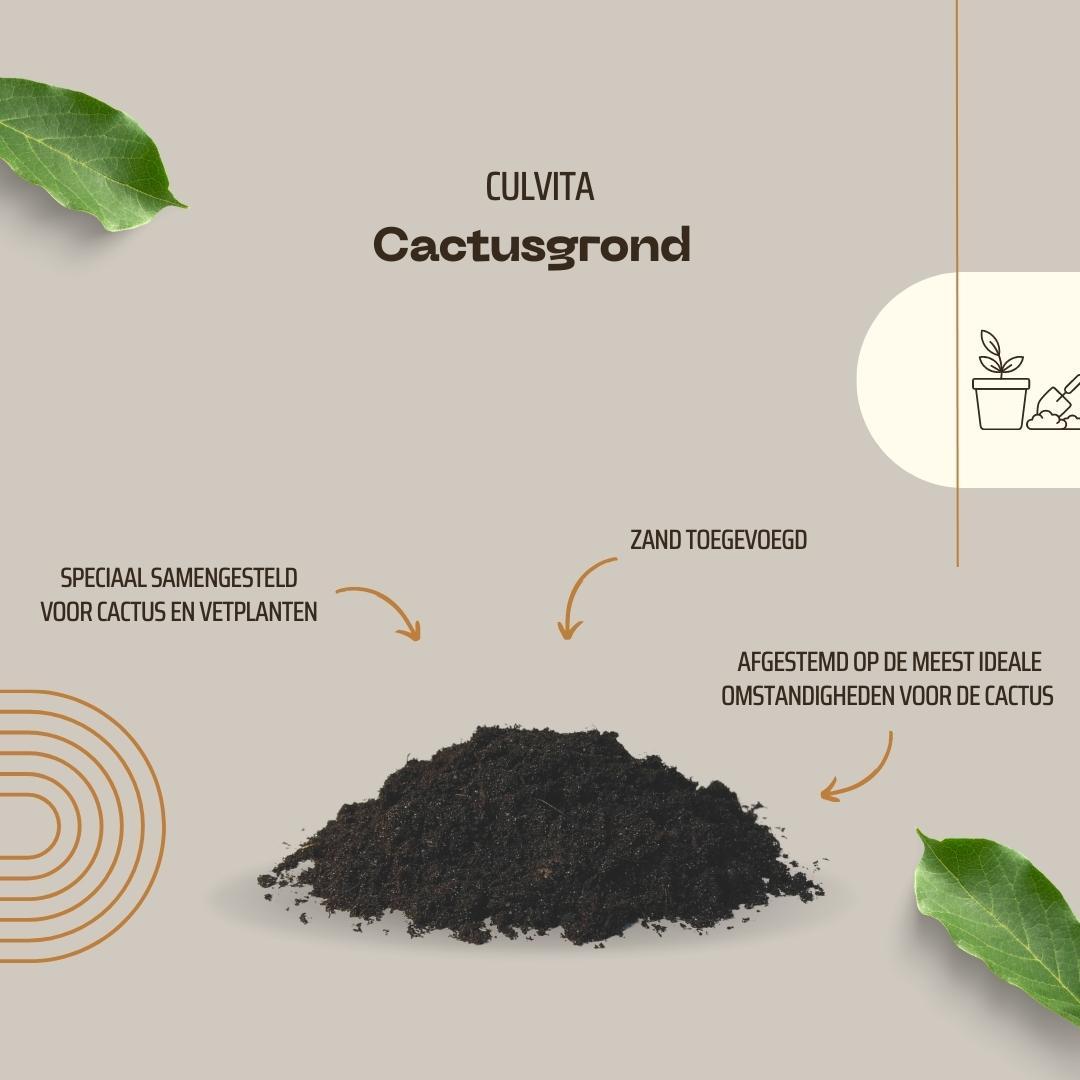 Culvita - Cactusgrond 5 liter - Blumenerde für Kakteen und Sukkulenten - Pflanzfix24.de - Pflanzfix24.de