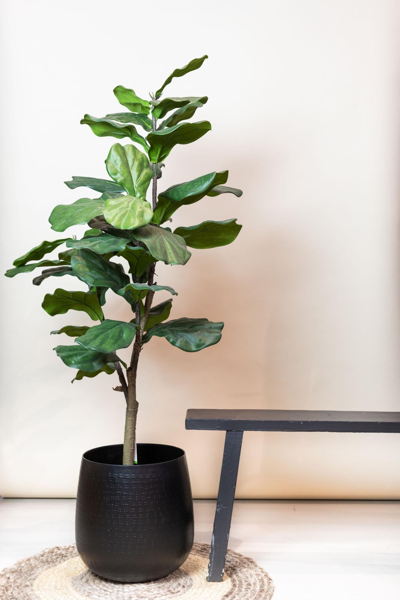 Ficus Lyrata Kunstpflanze 120cm – Tabakpflanze | Pflanzfix24.de - Pflanzfix24.de