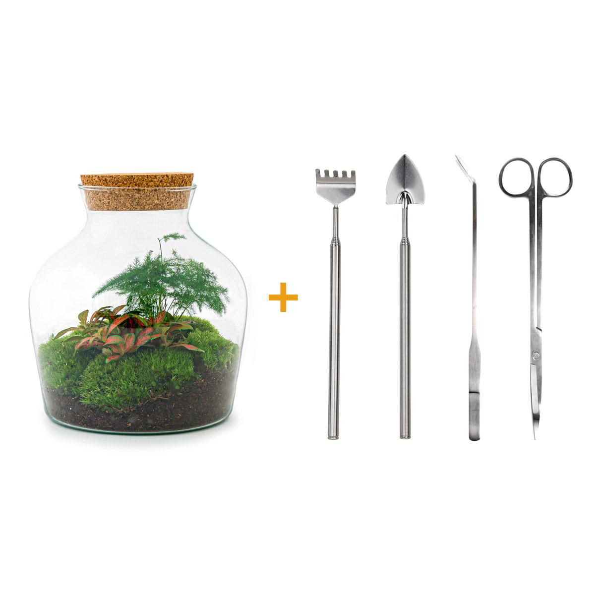 Flaschengarten - Little Joe - DIY Terrarium Set - Pflanzfix24.de - Pflanzfix24.de