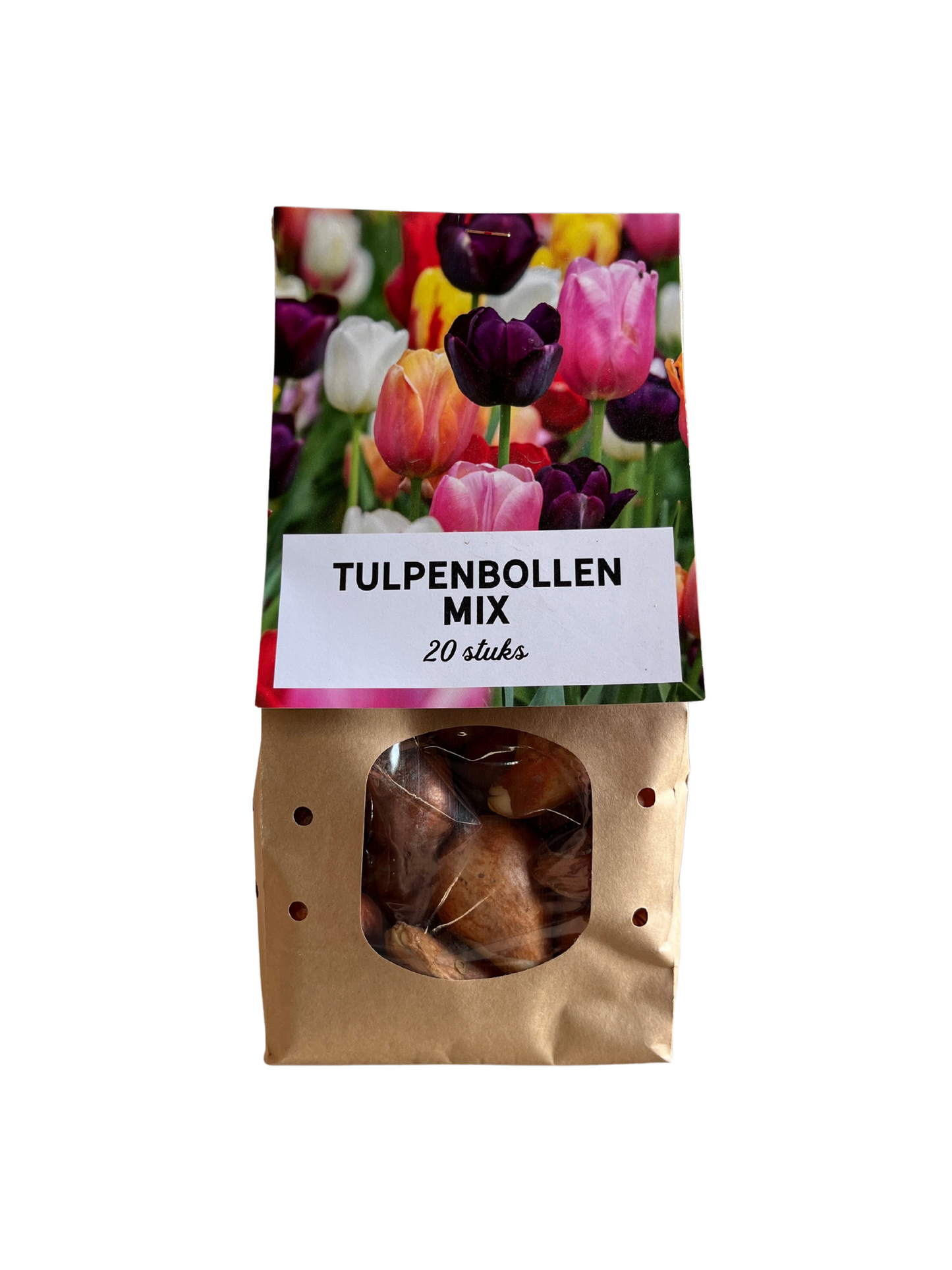 Tulpen Mix - Tulpenbollen 20 Stück | Pflanzfix24