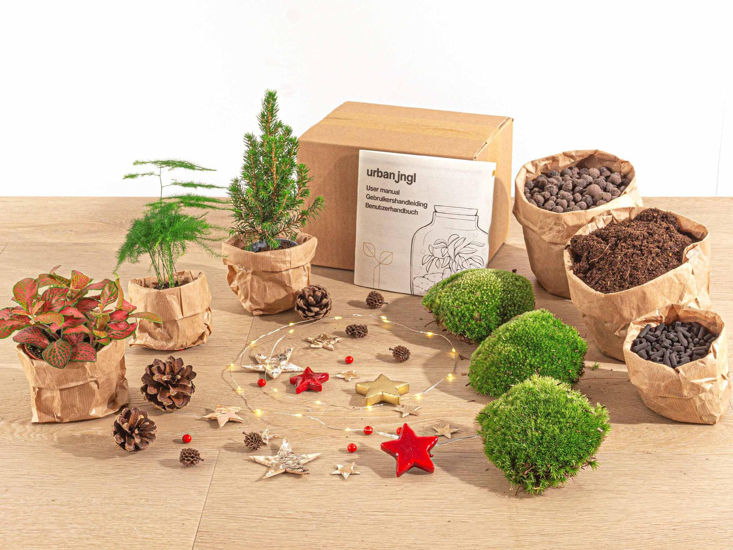 Feestdagen Terrarium Startpakket - Mini-kerstboom - 3 planten - Navulling & Decoratie - DIY Christmas - Pflanzfix24