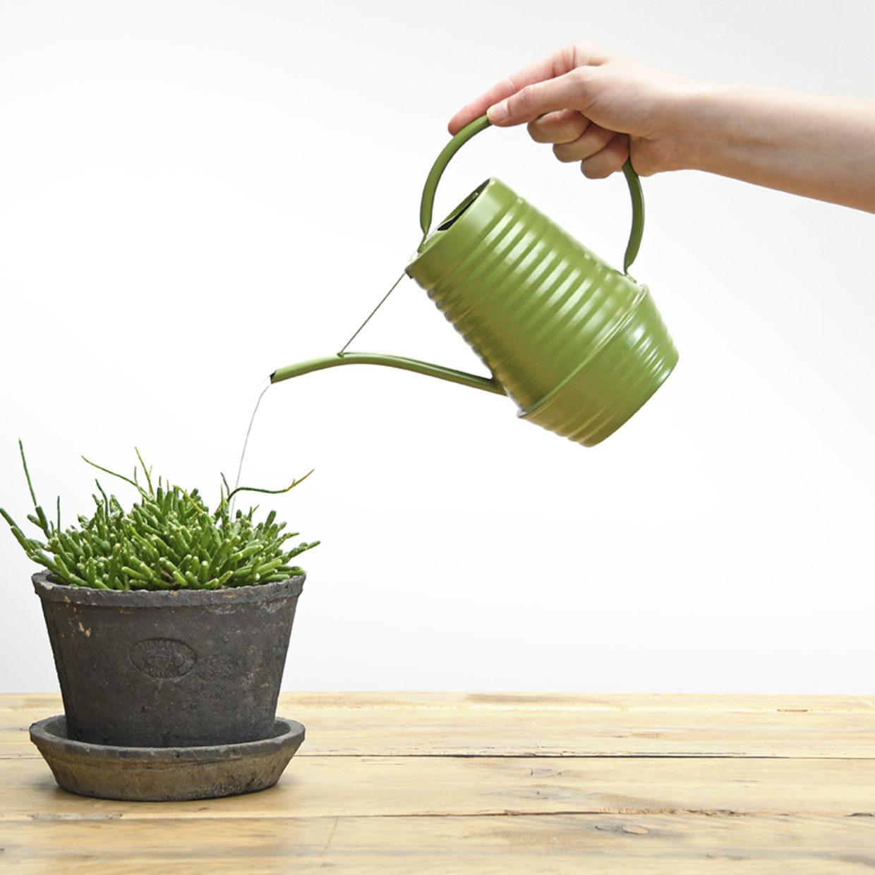 Bloemengieter - Zink - 1L - Groen - Pflanzfix24.de - Pflanzfix24.de