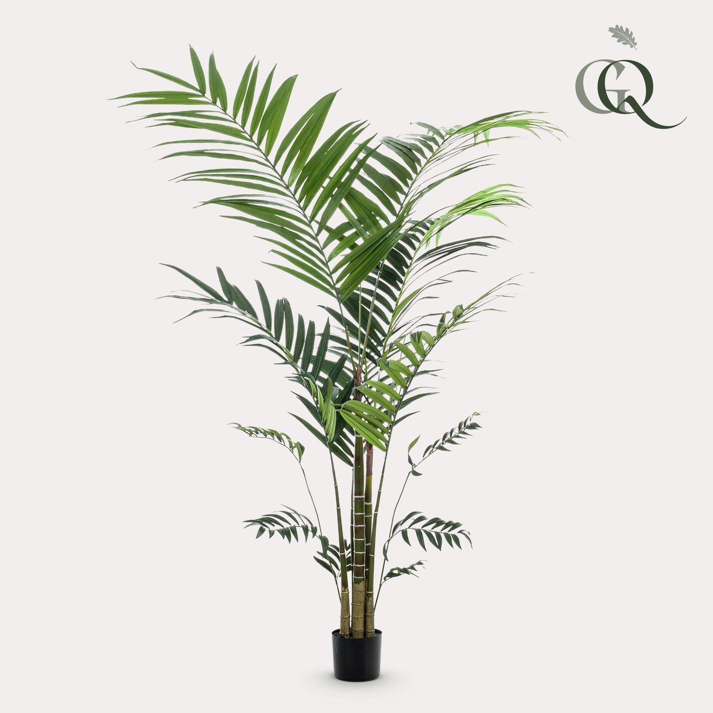 Kunstpflanze Kentia Kentiapalm 210 cm | Pflanzfix24.de - Pflanzfix24.de
