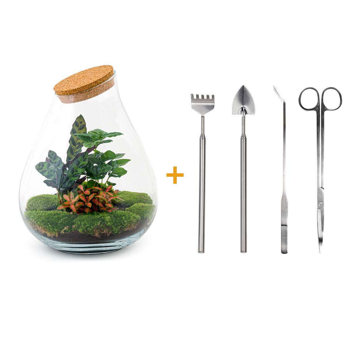 Flaschengarten - Drop XL Rot - ↕ 37 cm - Rake + Shovel + Tweezer + Scissors - Pflanzfix24.de - Pflanzfix24.de