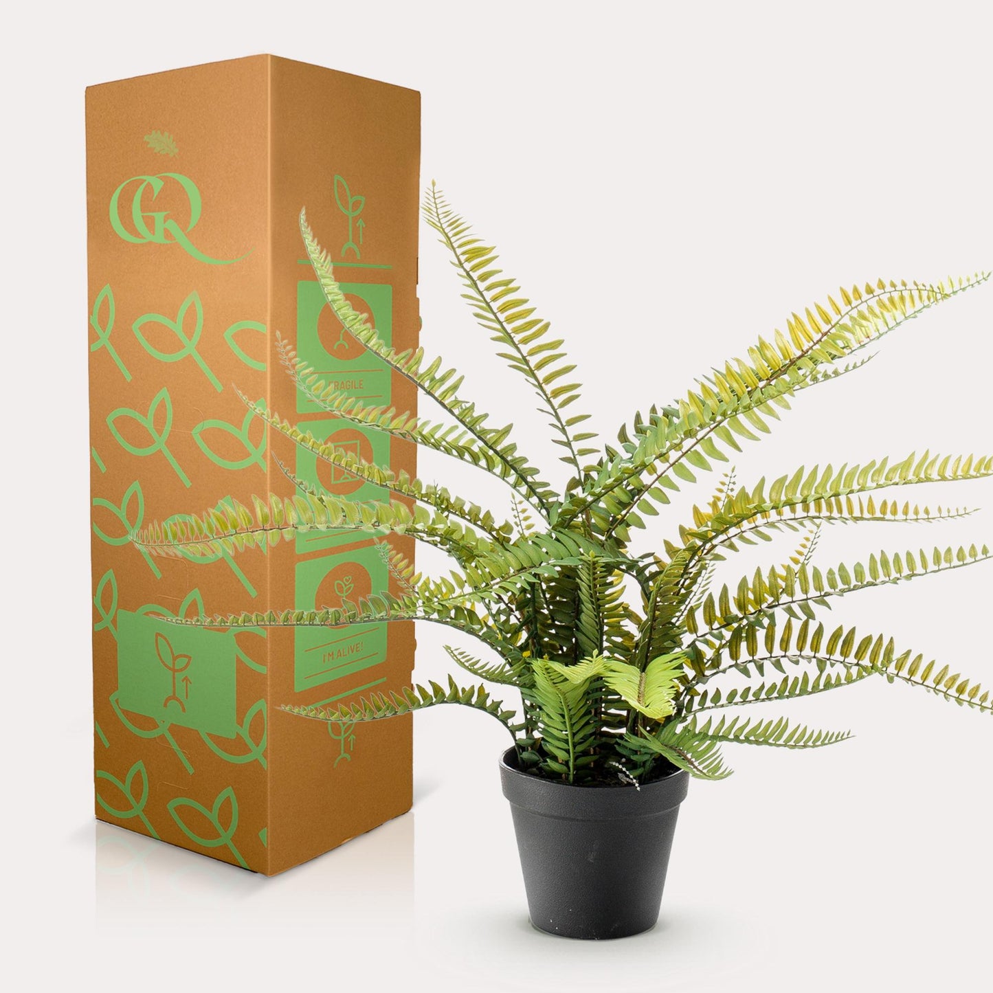 Kunstpflanze Nephrolepis Exaltata Boston Farn 55 cm – Pflegeleicht & Realistisch | Pflanzfix24.de - Pflanzfix24.de