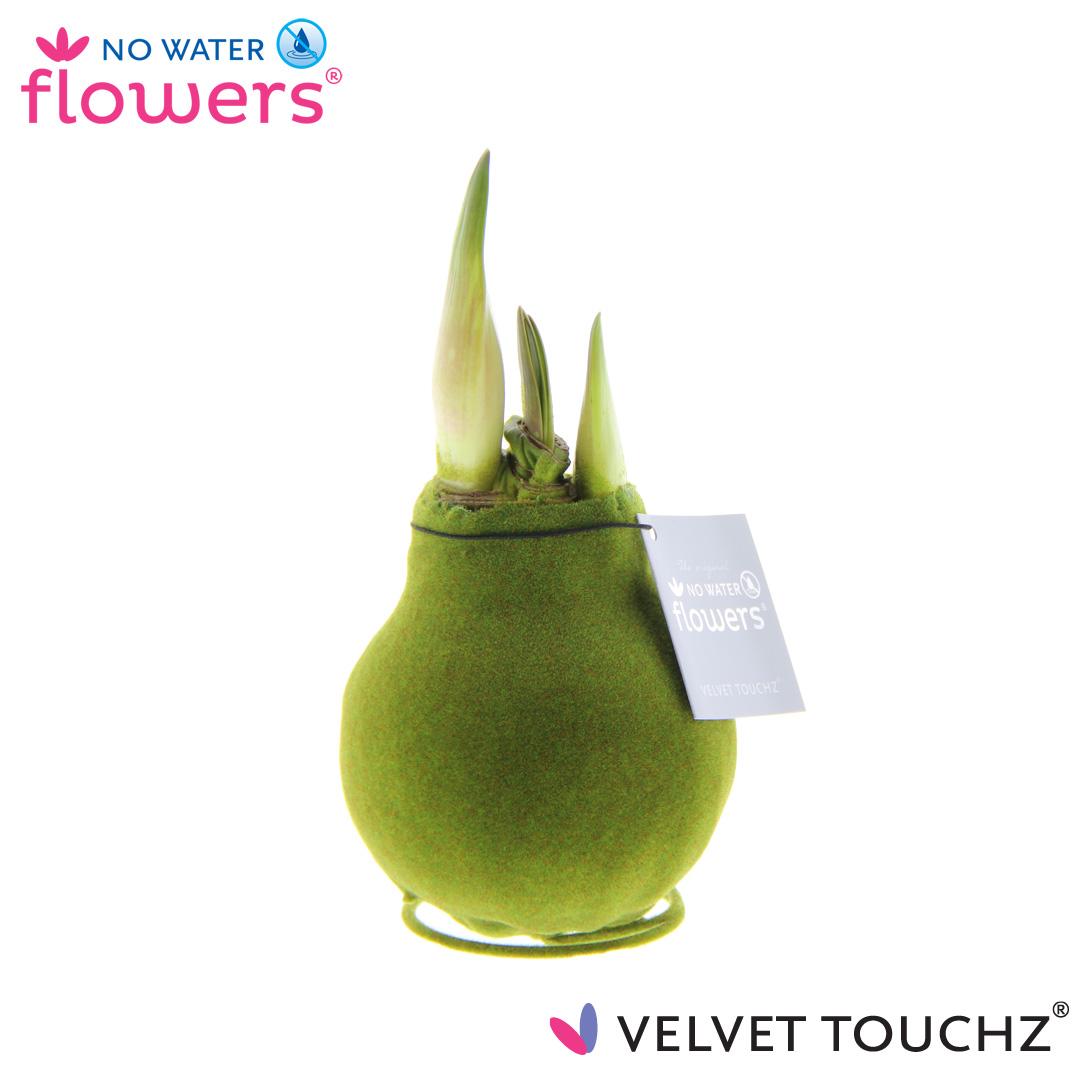 No Water Flowers Velvet Touchz® Moss Green - ↕15cm - Pflanzfix24