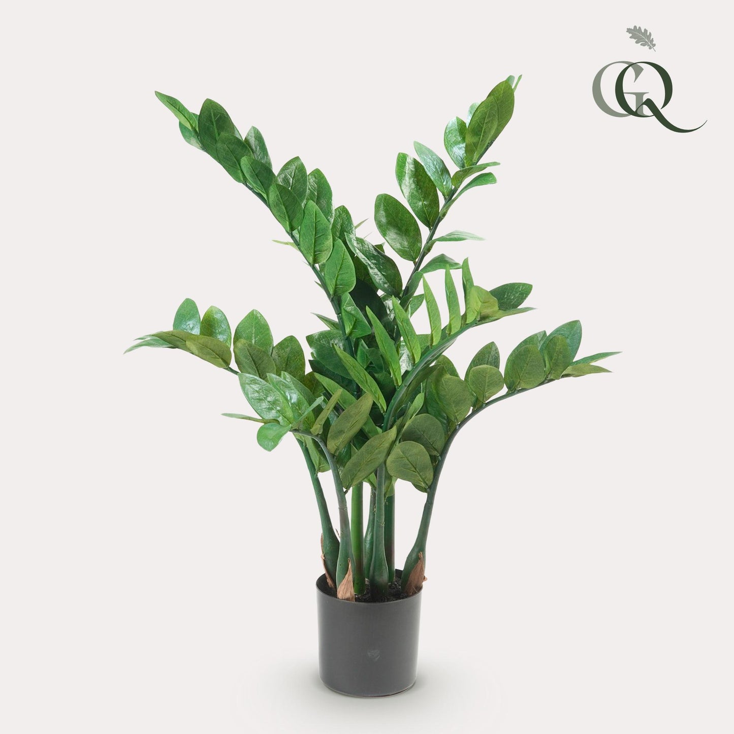 Kunst-Zamioculcas (Zimmerpalme) 70 cm – Pflegeleichte Deko | Pflanzfix24.de - Pflanzfix24.de
