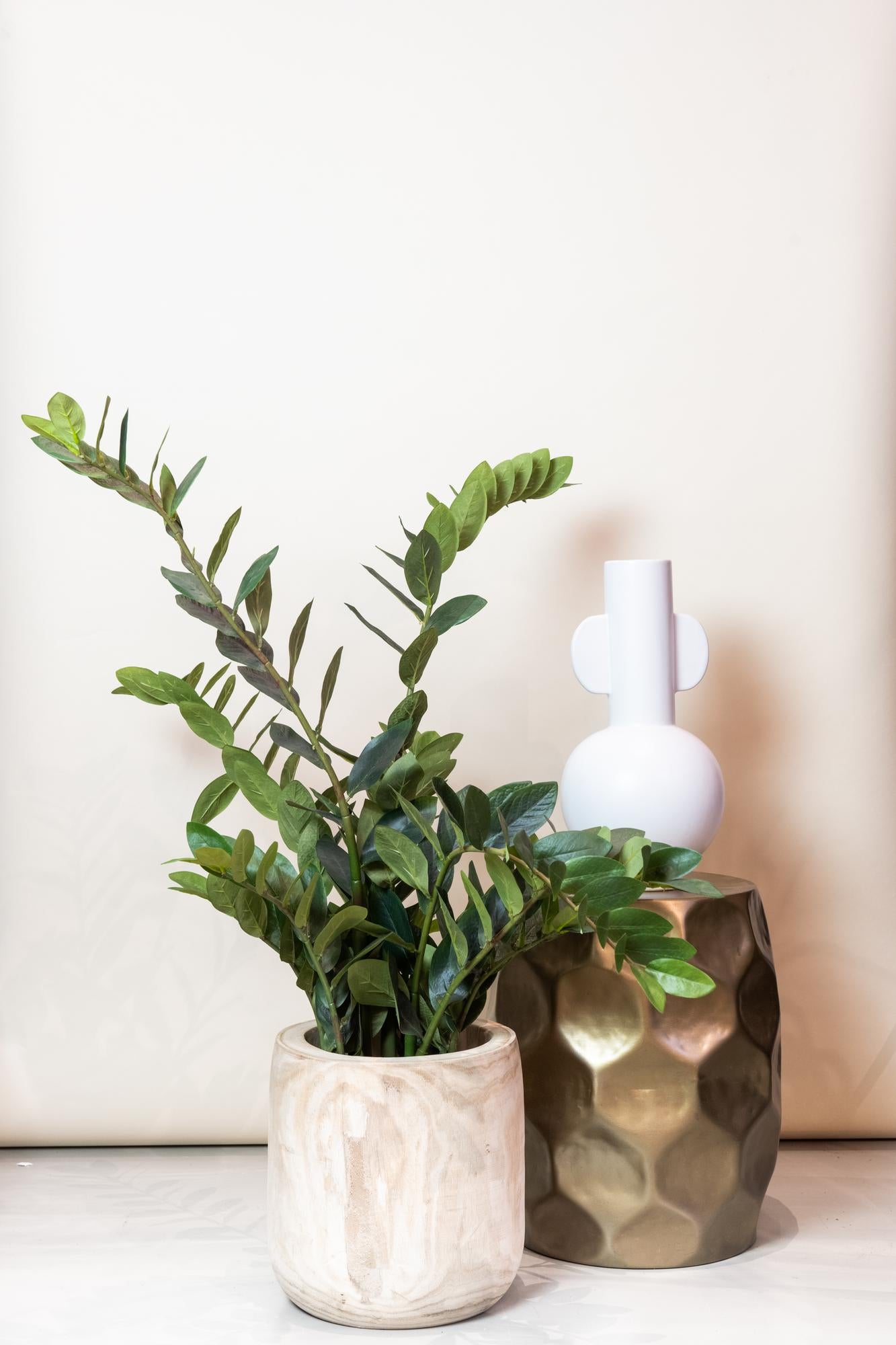 Kunst-Zamioculcas (Zimmerpalme) 110 cm – Pflegeleichte Deko | Pflanzfix24.de - Pflanzfix24.de