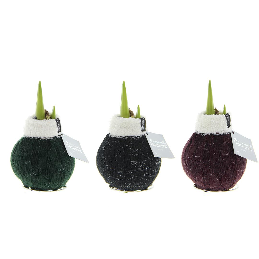 No Water Flowers® Fashionz Cozy Wooly Mix (3 pack) + Red flower - Pflanzfix24