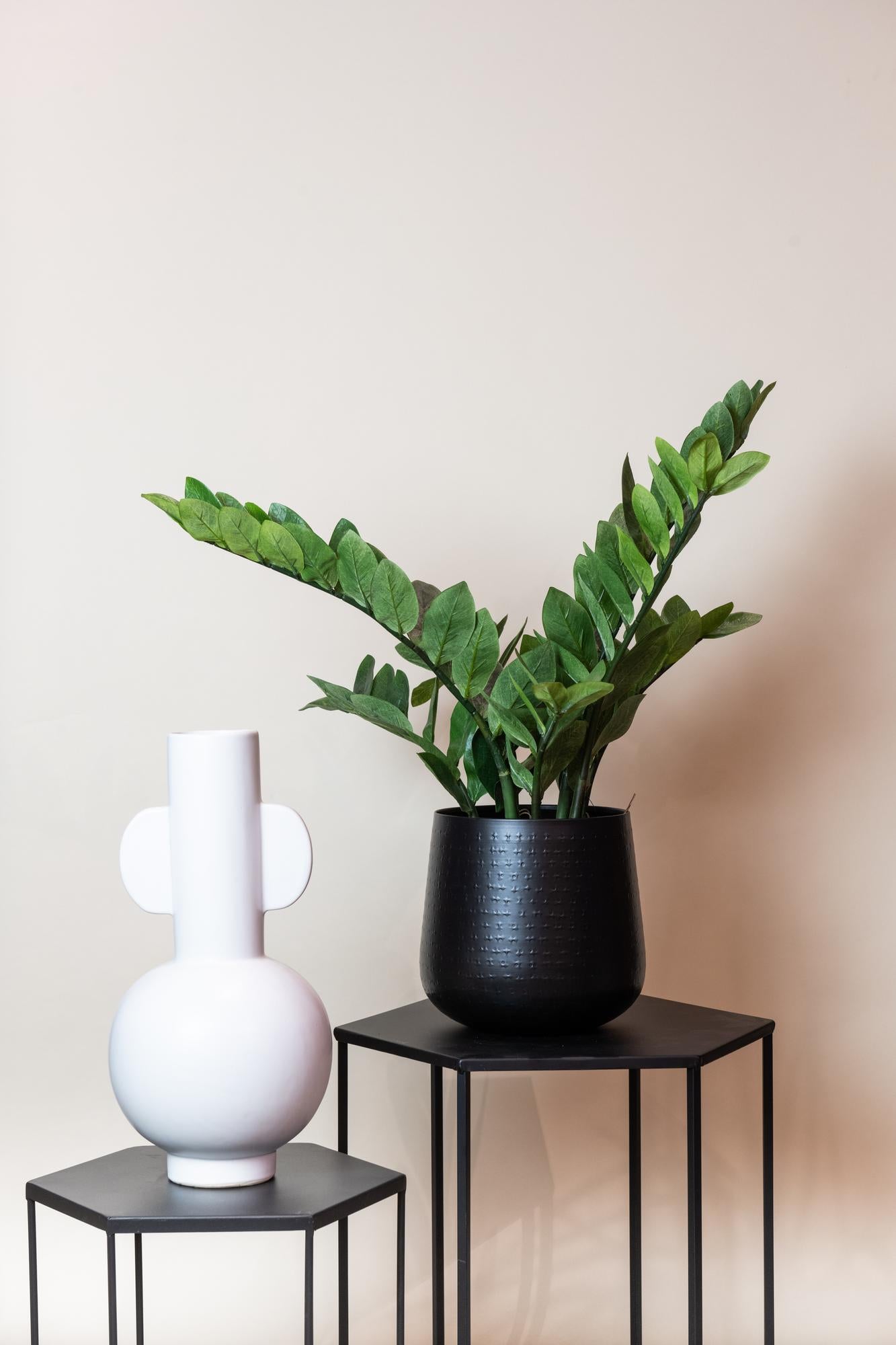 Kunst-Zamioculcas (Zimmerpalme) 70 cm – Pflegeleichte Deko | Pflanzfix24.de - Pflanzfix24.de