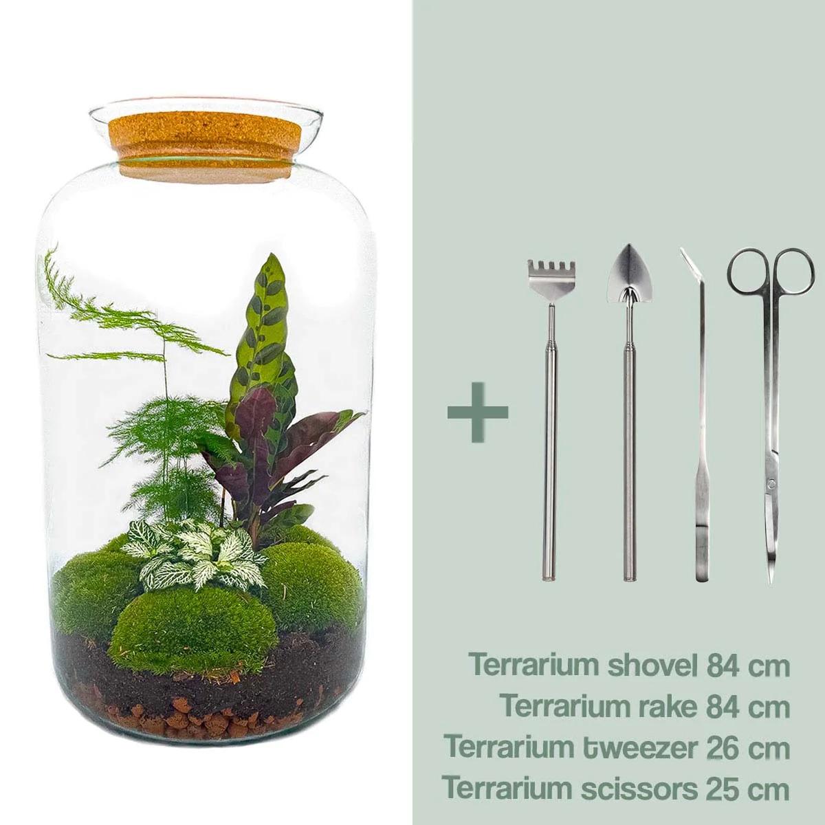 Flaschengarten - Botanical Sven XL - Pflanzfix24.de - Pflanzfix24.de