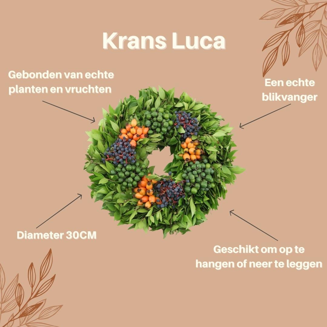 Herbst Deko Kranz Luca | Ø 30 cm | Pflanzfix24