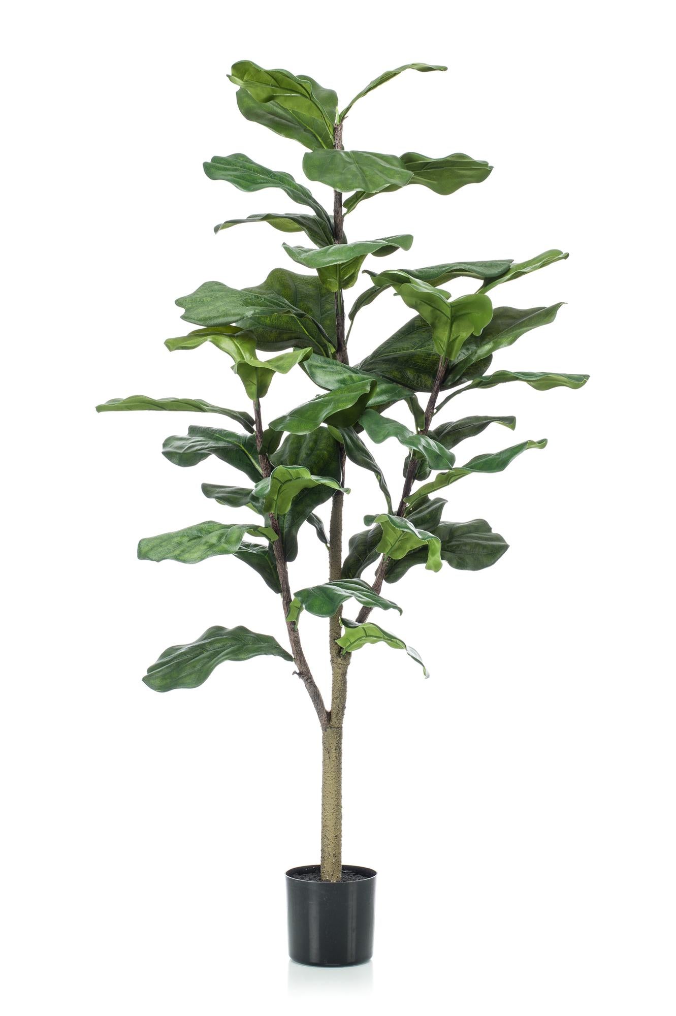 Ficus Lyrata Kunstpflanze 120cm – Tabakpflanze | Pflanzfix24.de - Pflanzfix24.de