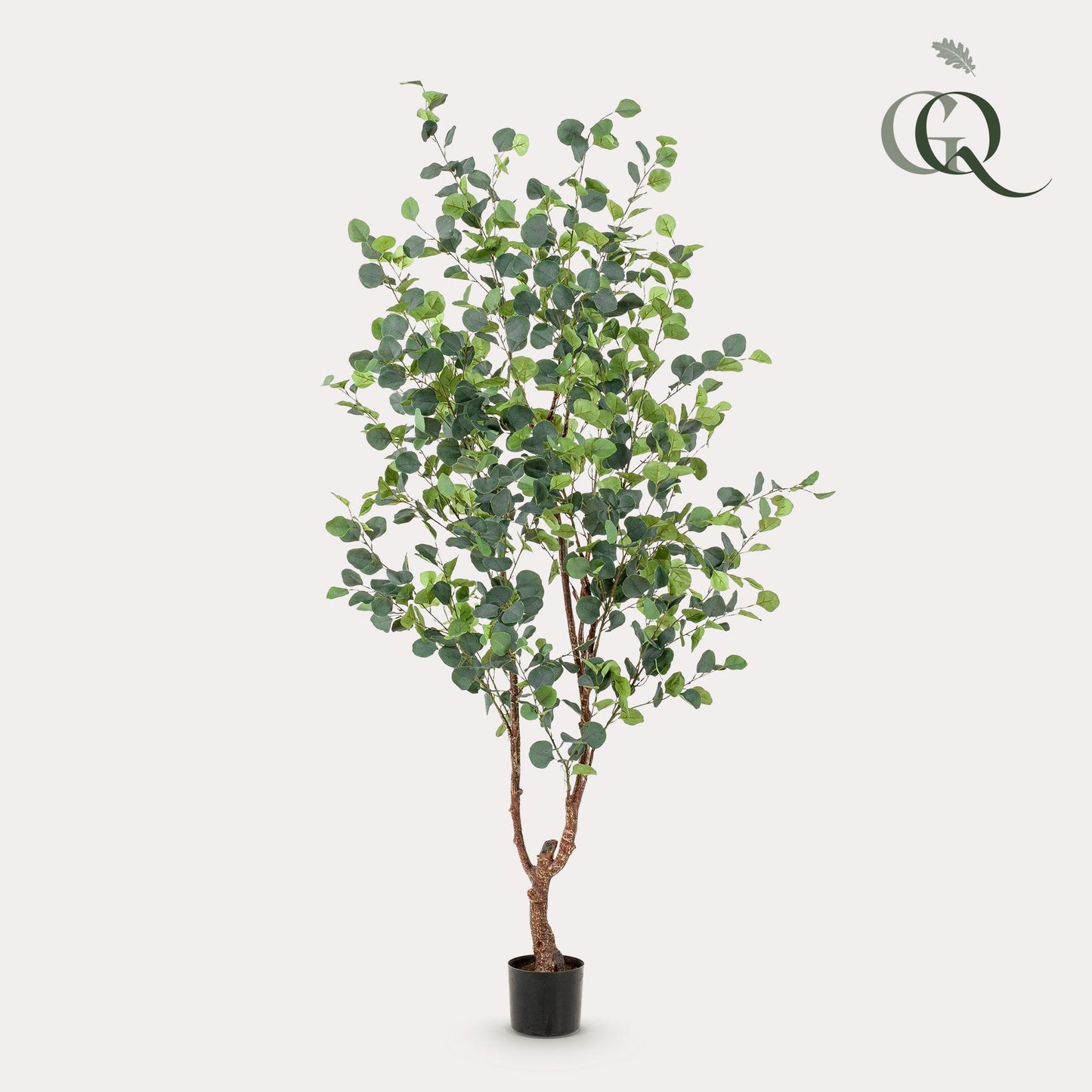 Eucalyptusbaum Kunstpflanze 180cm – Blauer Gummibaum | Pflanzfix24.de - Pflanzfix24.de