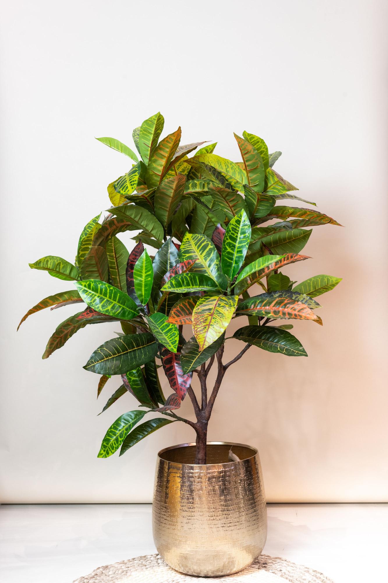 Croton Codiaeum Kunstpflanze 120cm – Wunderstrauch | Pflanzfix24.de - Pflanzfix24.de
