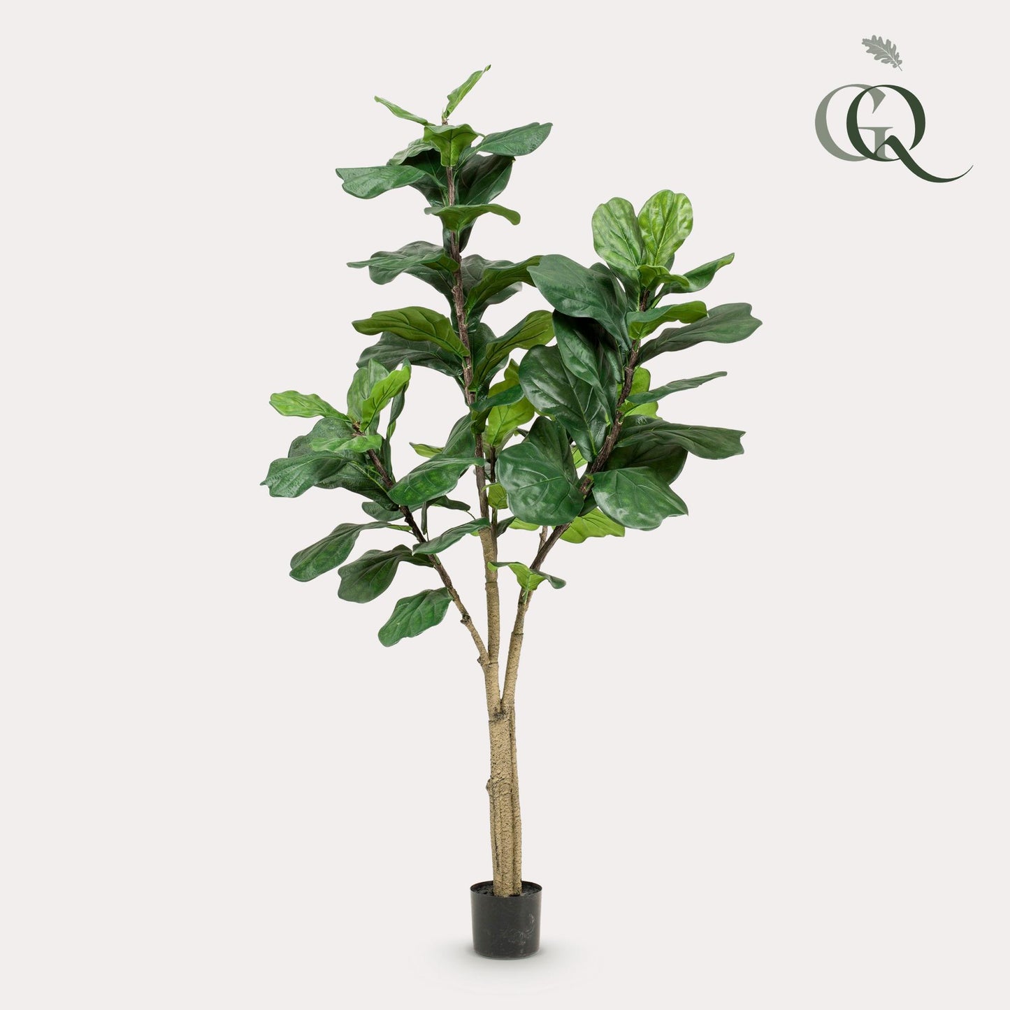 Ficus Lyrata Kunstpflanze 180cm – Tabakpflanze | Pflanzfix24.de - Pflanzfix24.de