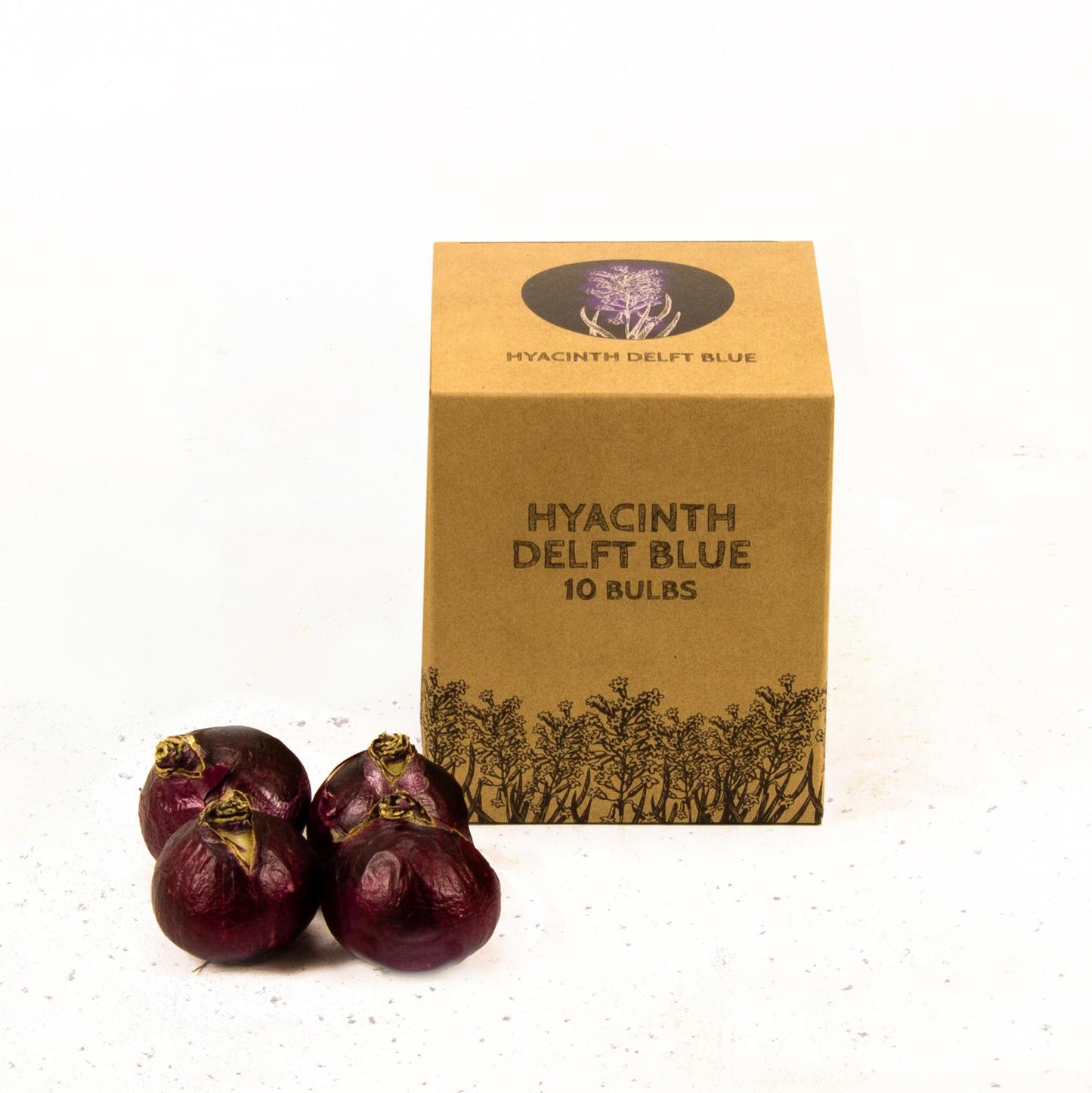 Hyazinthe 'Delft Blue' - 10 Blumenzwiebeln - Größe 14/15 - Pflanzfix24