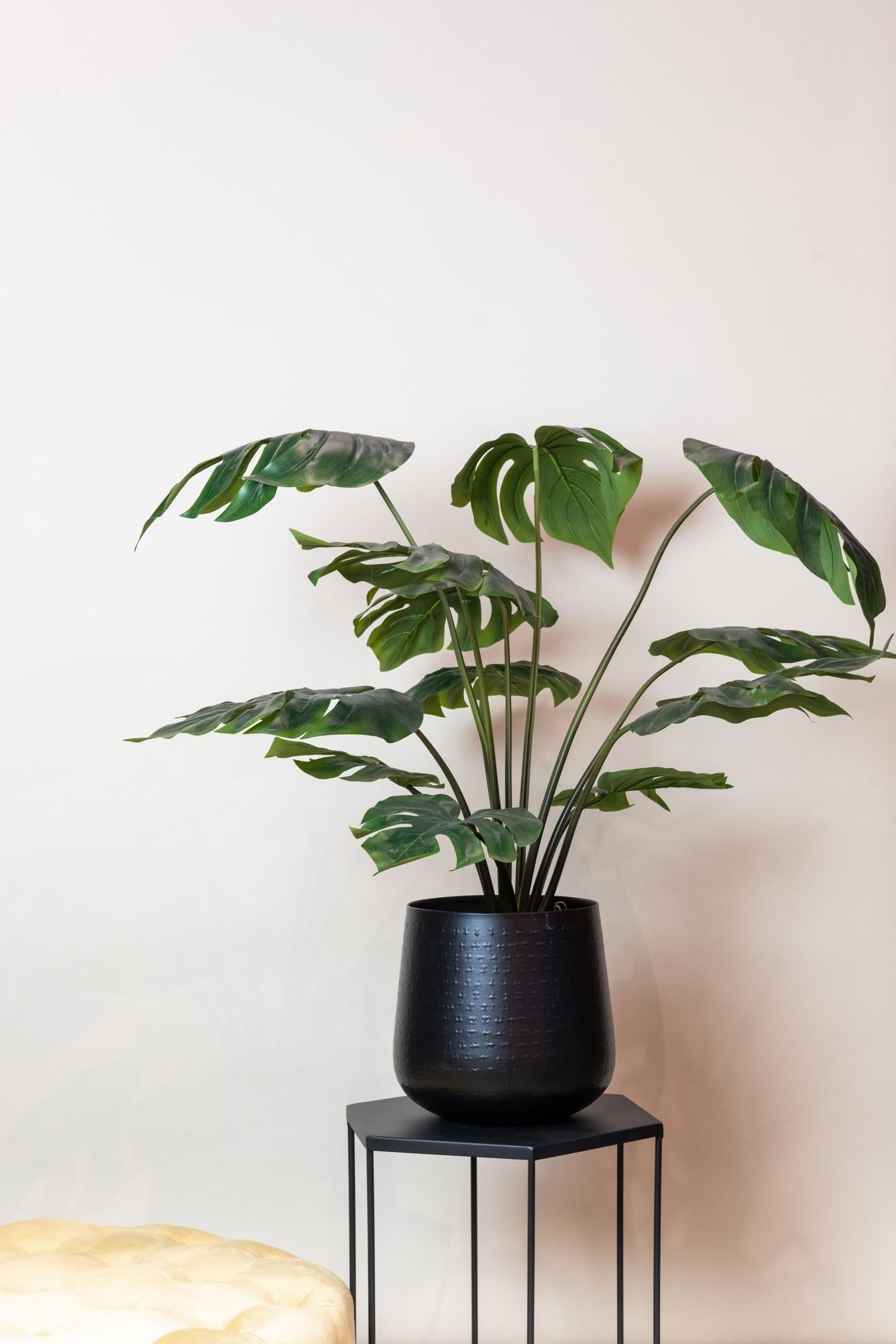 Kunstpflanze Monstera Deliciosa – Löcherpflanze – 95 cm – Natürlich & Pflegeleicht | Pflanzfix24.de - Pflanzfix24.de