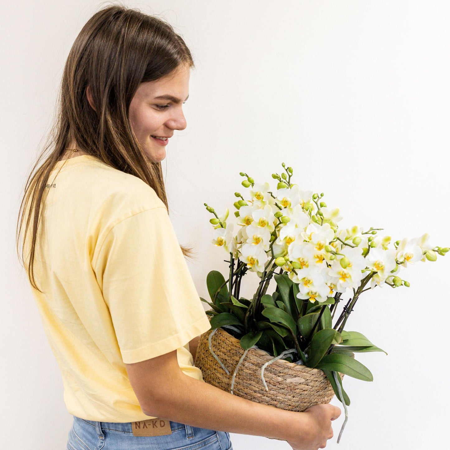 Kolibri Orchideen Set Weiß mit Wassertank – Pflanzfix24.de - Pflanzfix24.de