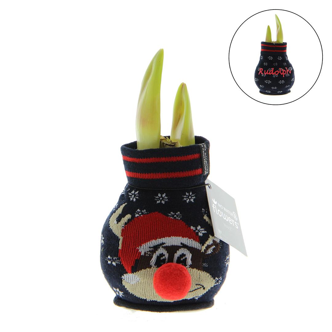 No Water Flowers® Fashionz Xmas Fun Silly - Rudolp Blue + Red flower - Pflanzfix24