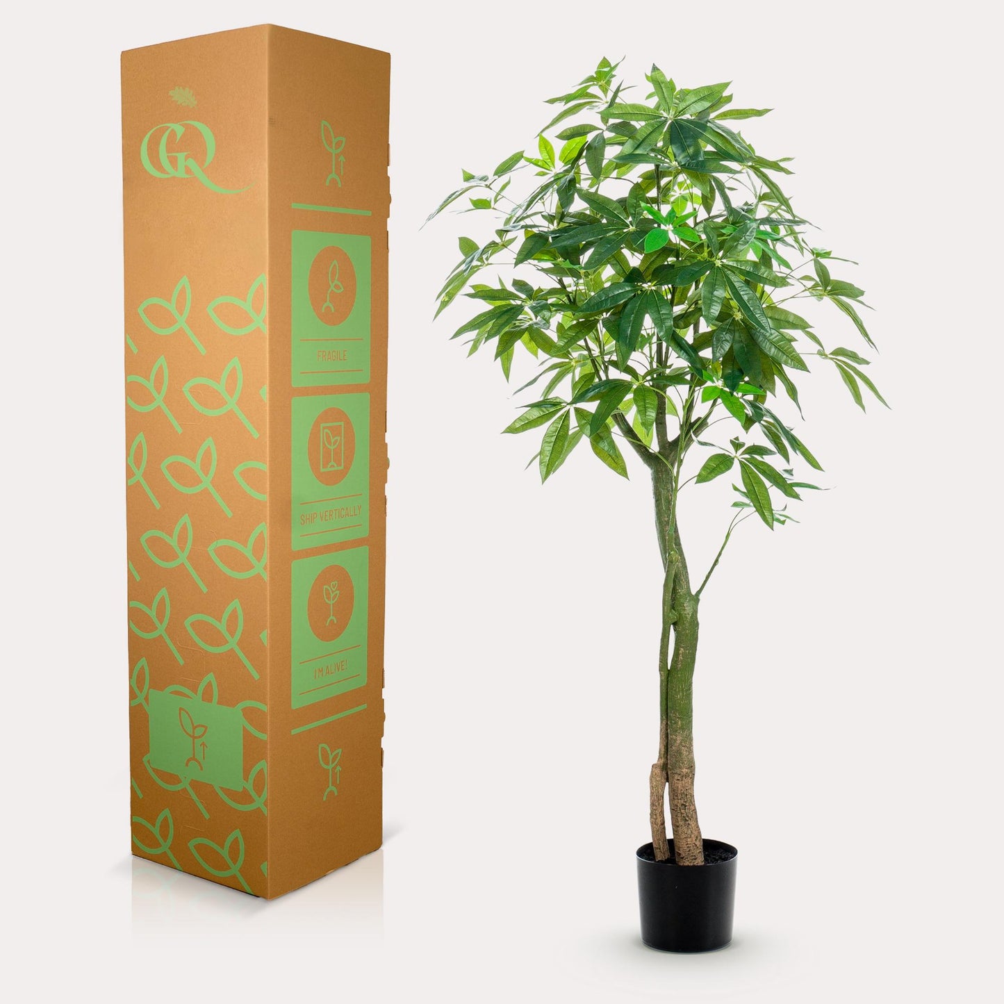 Kunstpflanze Pachira Aquatica 150 cm – Glückskastanie & Allergikerfreundlich | Pflanzfix24.de - Pflanzfix24.de