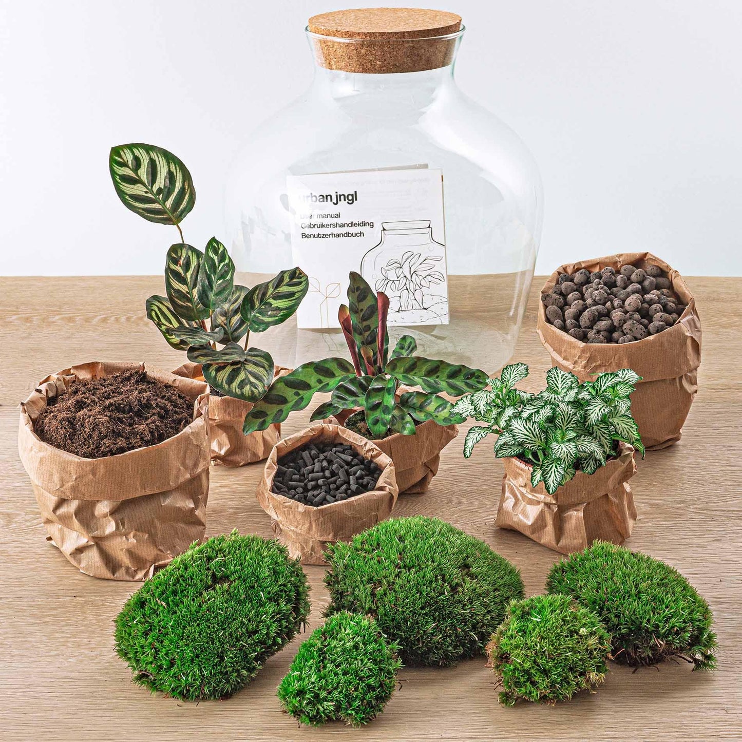 Flaschengarten - Fat Joe - DIY Terrarium Set - 30 cm - Pflanzfix24