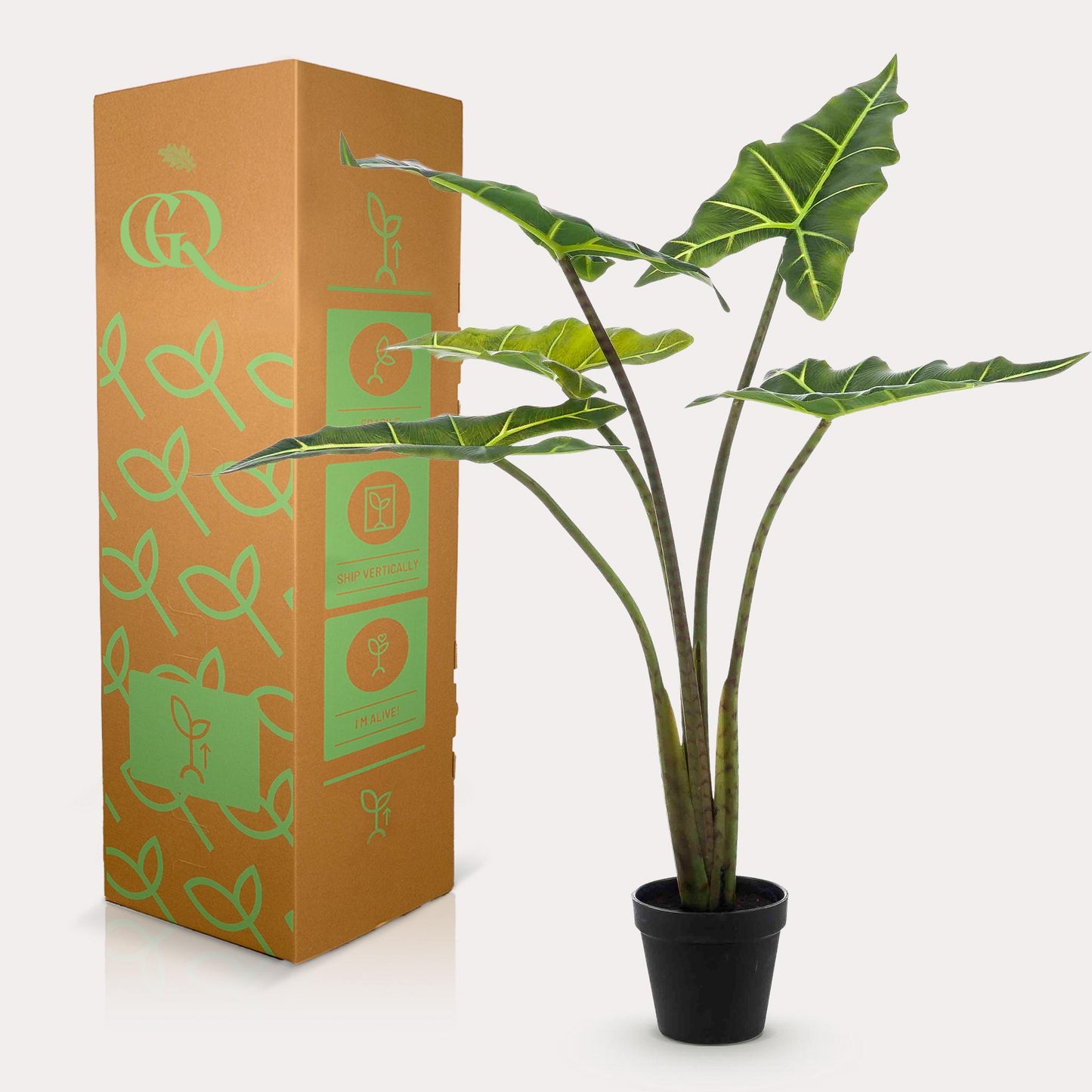Kunst-Alocasia Frydek 80 cm – Pflanzfix24.de - Pflanzfix24.de