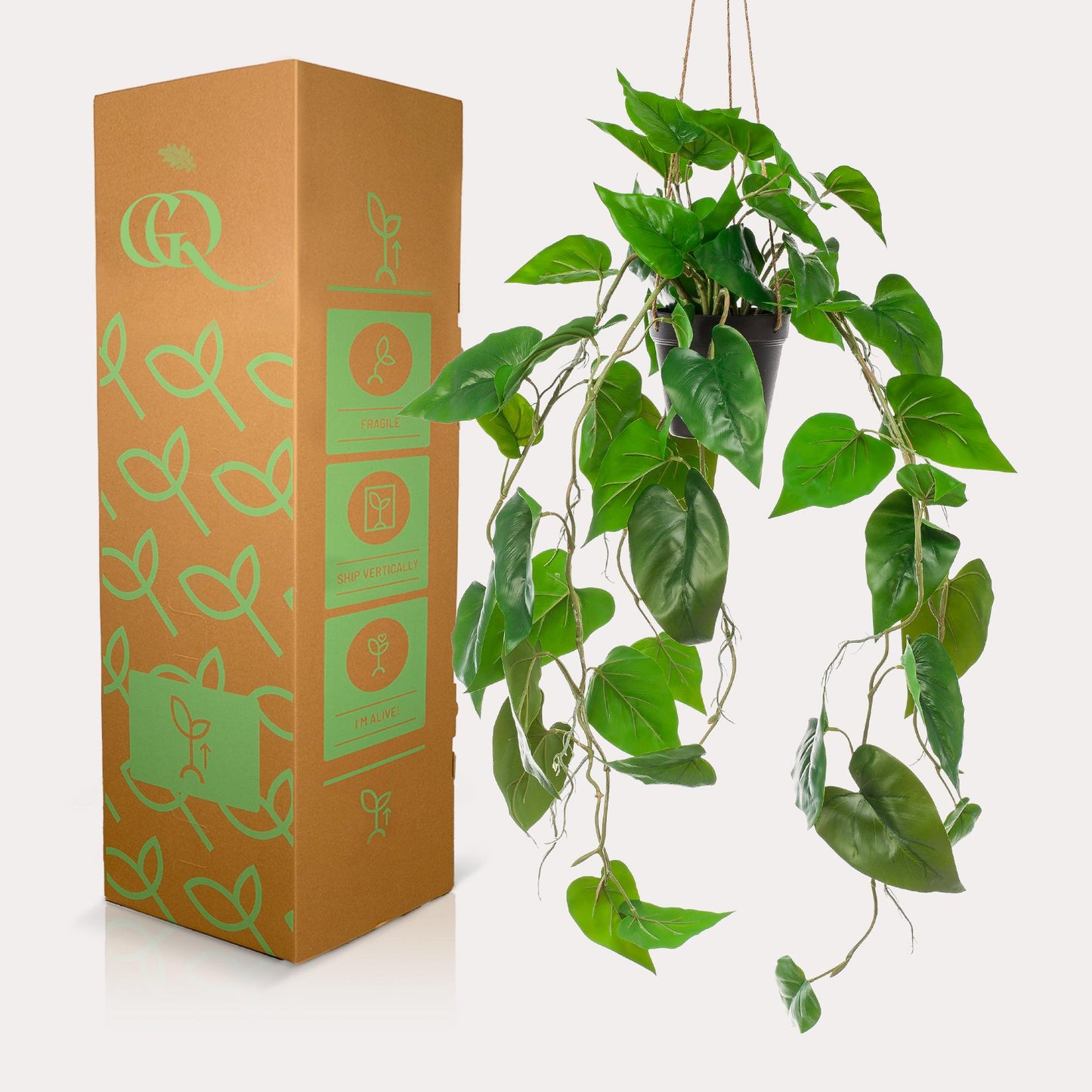 Kunstpflanze Philodendron Hängepflanze 80 cm – Pflegeleicht & Realistisch | Pflanzfix24.de - Pflanzfix24.de