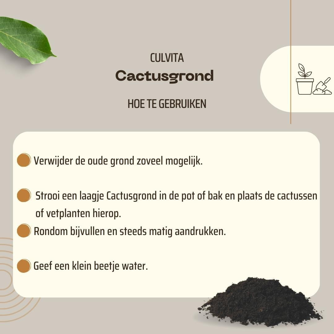 Culvita - Cactusgrond 5 liter - Blumenerde für Kakteen und Sukkulenten - Pflanzfix24.de - Pflanzfix24.de