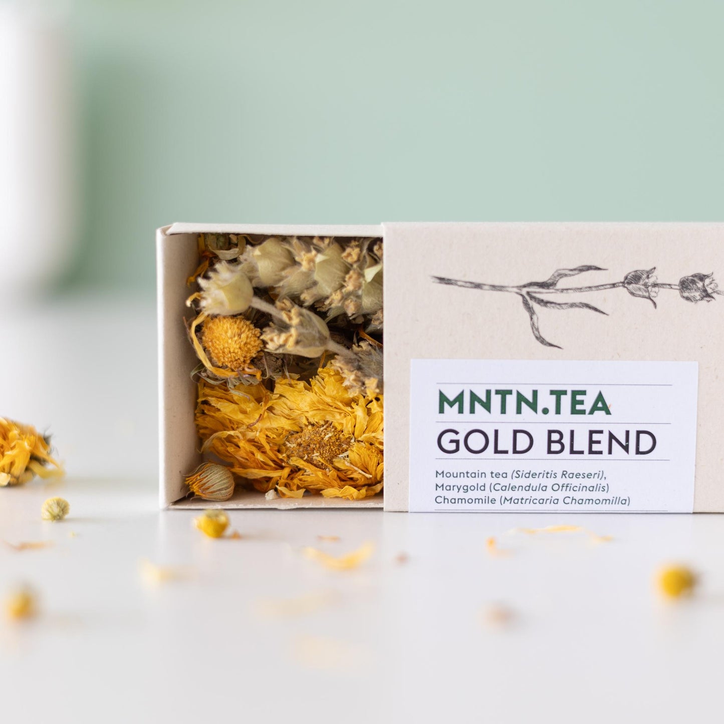 Teepause - Gold Blend Tee und Teebaumschnitt - Pflanzfix24
