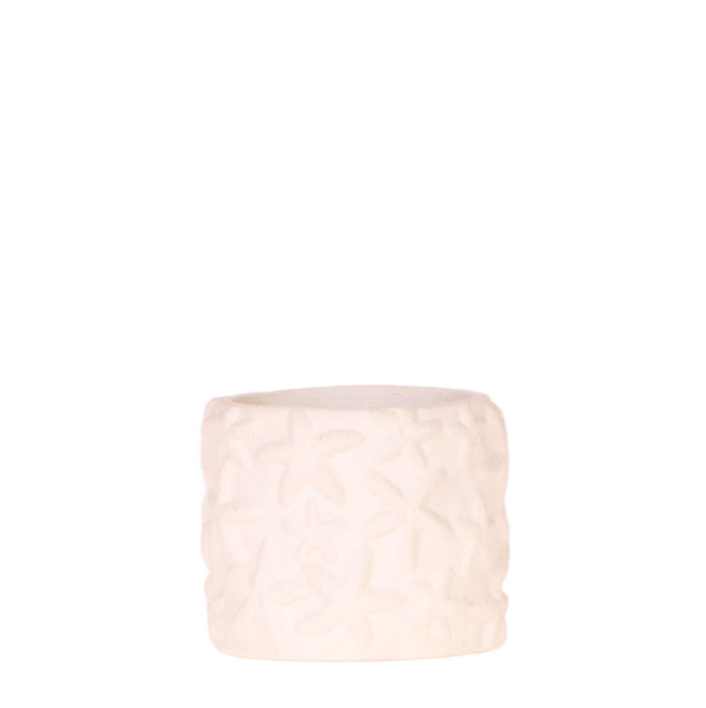 Star Fish Dekotopf Off White Ø6cm – Kolibri Home | Pflanzfix24.de - Pflanzfix24.de