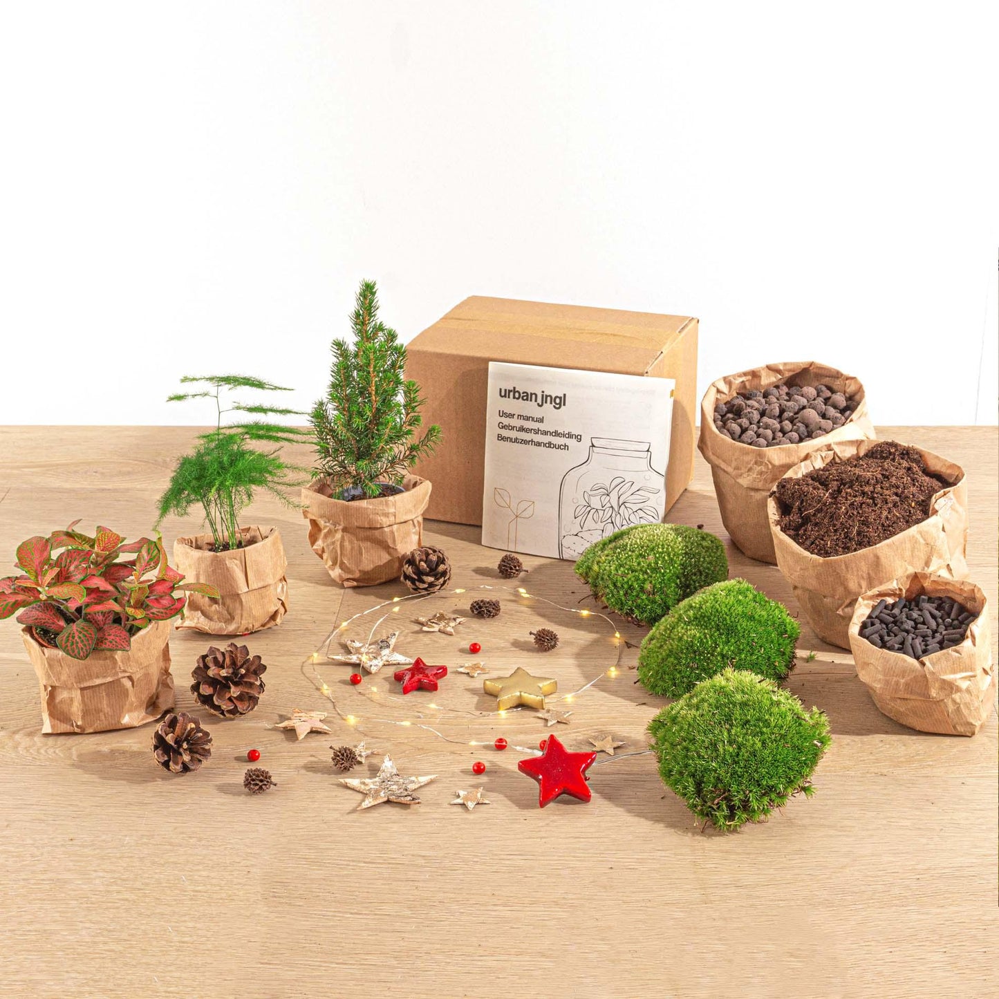Feestdagen Terrarium Startpakket - Mini-kerstboom - 3 planten - Navulling & Decoratie - DIY Christmas - Pflanzfix24