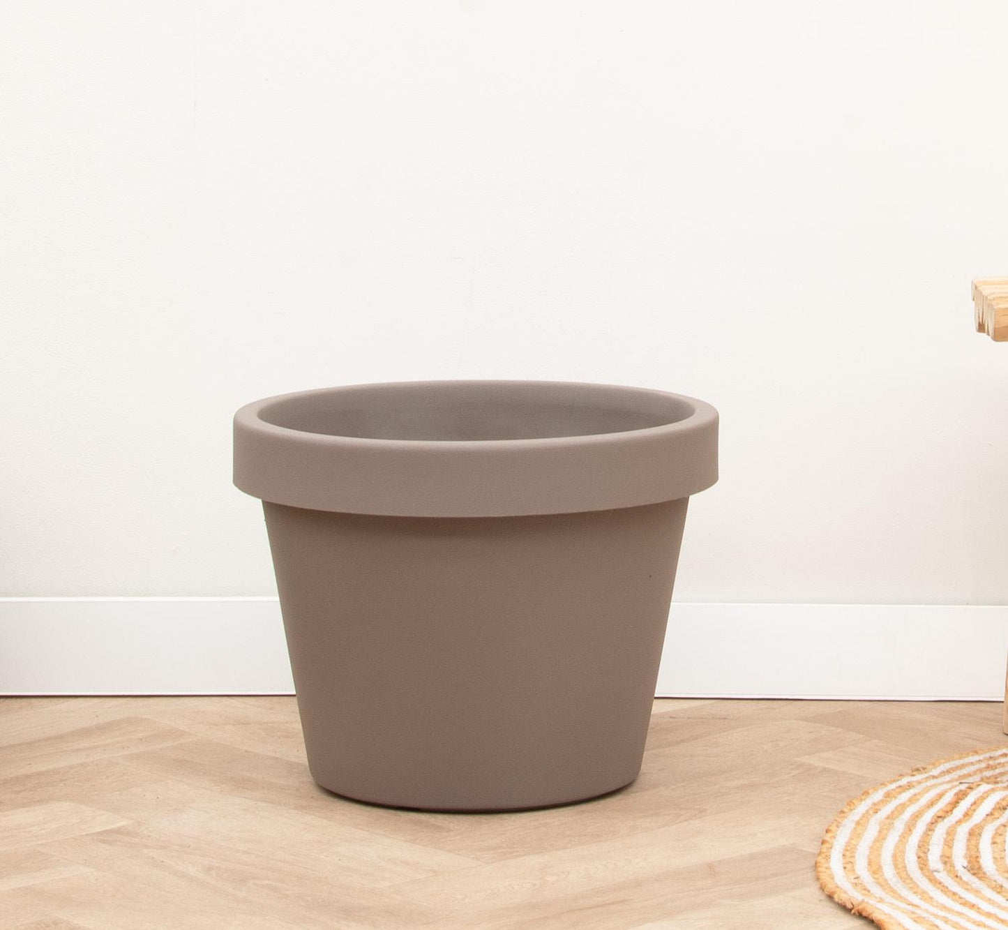 Lira Tortora Pflanze D65 x H58 cm | Pflanzfix24