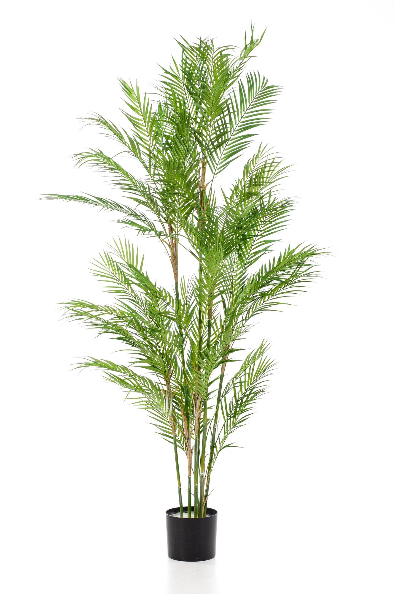Kunstpflanze Chamaedorea Elegans Bergpalme 180 cm – Pflanzfix24