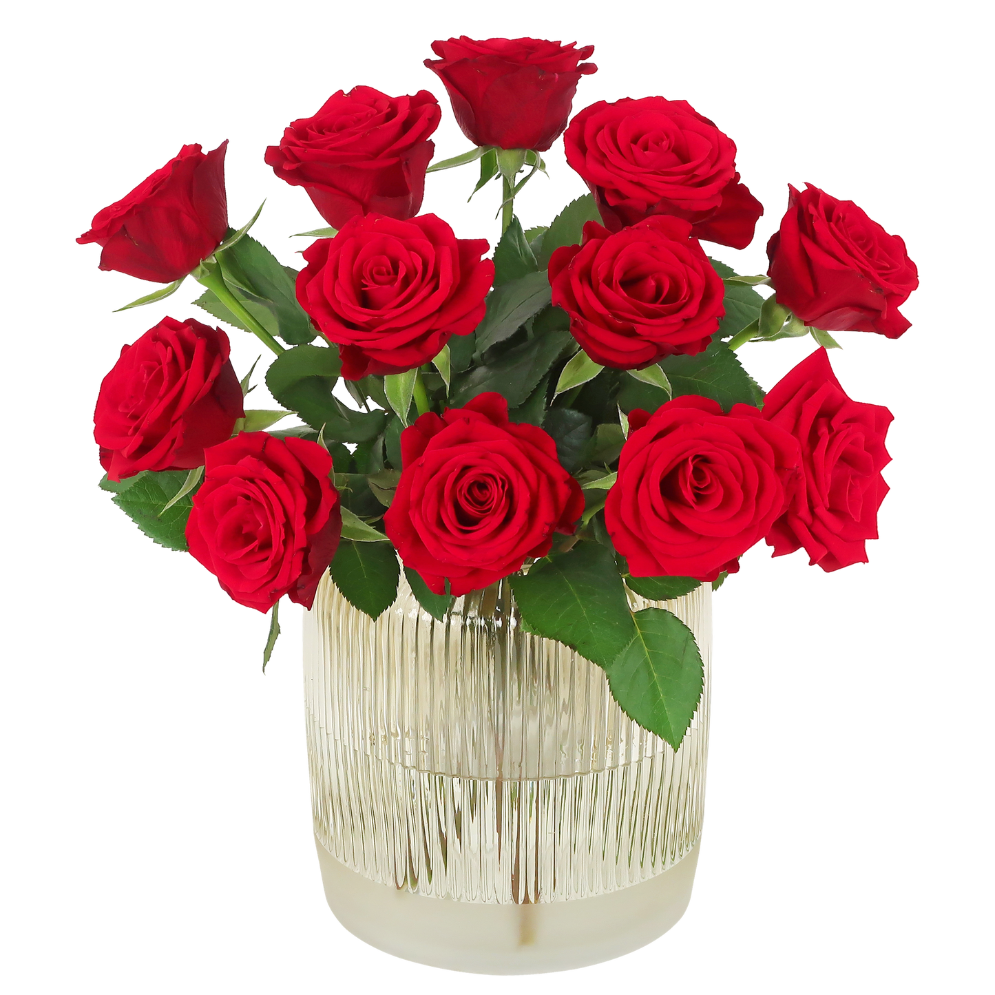Liebesrosen Briefkastenstrauß 12 rote Rosen 32cm | Pflanzfix24