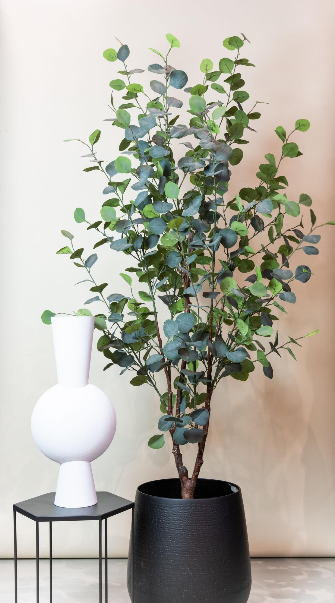 Eucalyptusbaum Kunstpflanze 180cm – Blauer Gummibaum | Pflanzfix24.de - Pflanzfix24.de