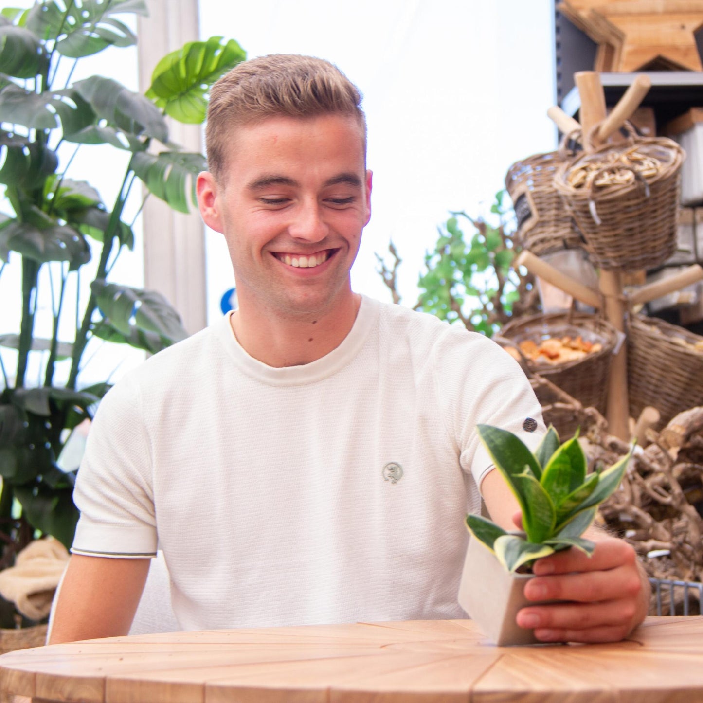 Congreet plantpots + Sansevieria | Gefeliciteerd - Pflanzfix24.de - Pflanzfix24.de