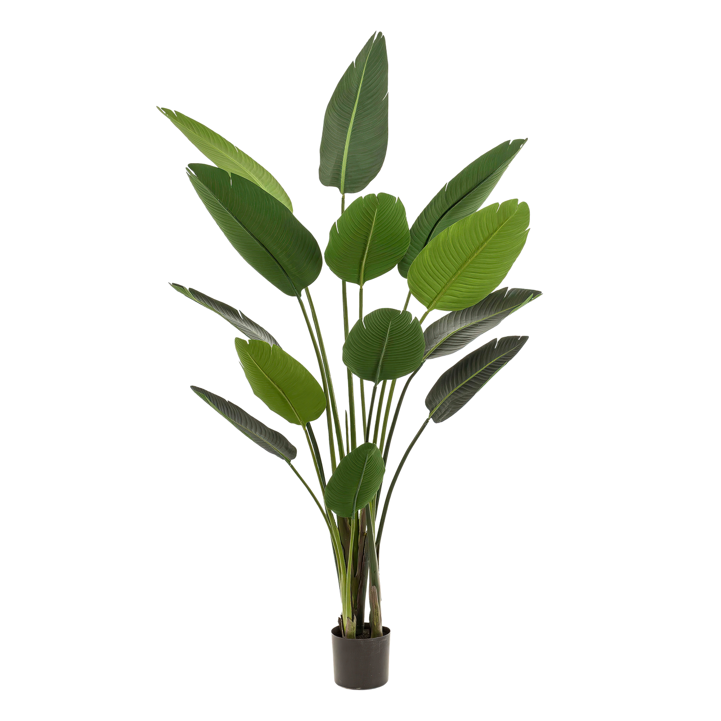 Kunst-Strelitzia Nicolai 190 cm – Paradiesvogelblume | Pflanzfix24.de - Pflanzfix24.de