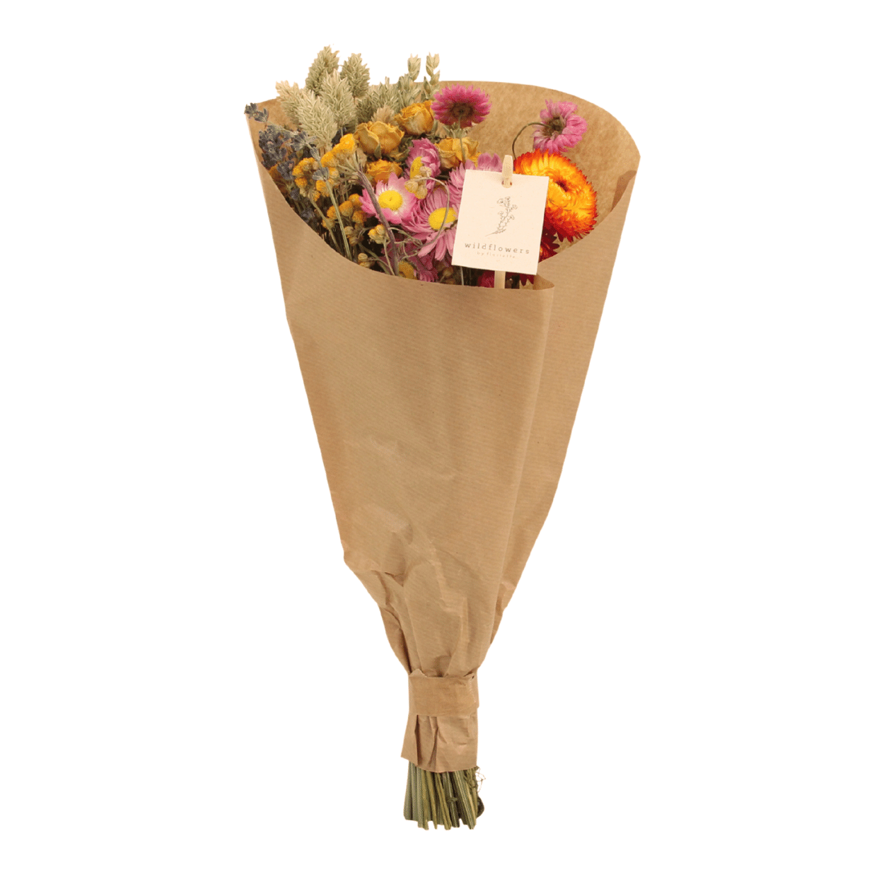 Trockenblumen Feldblumenstrauß Multi Ø15cm | Pflanzfix24.de - Pflanzfix24.de