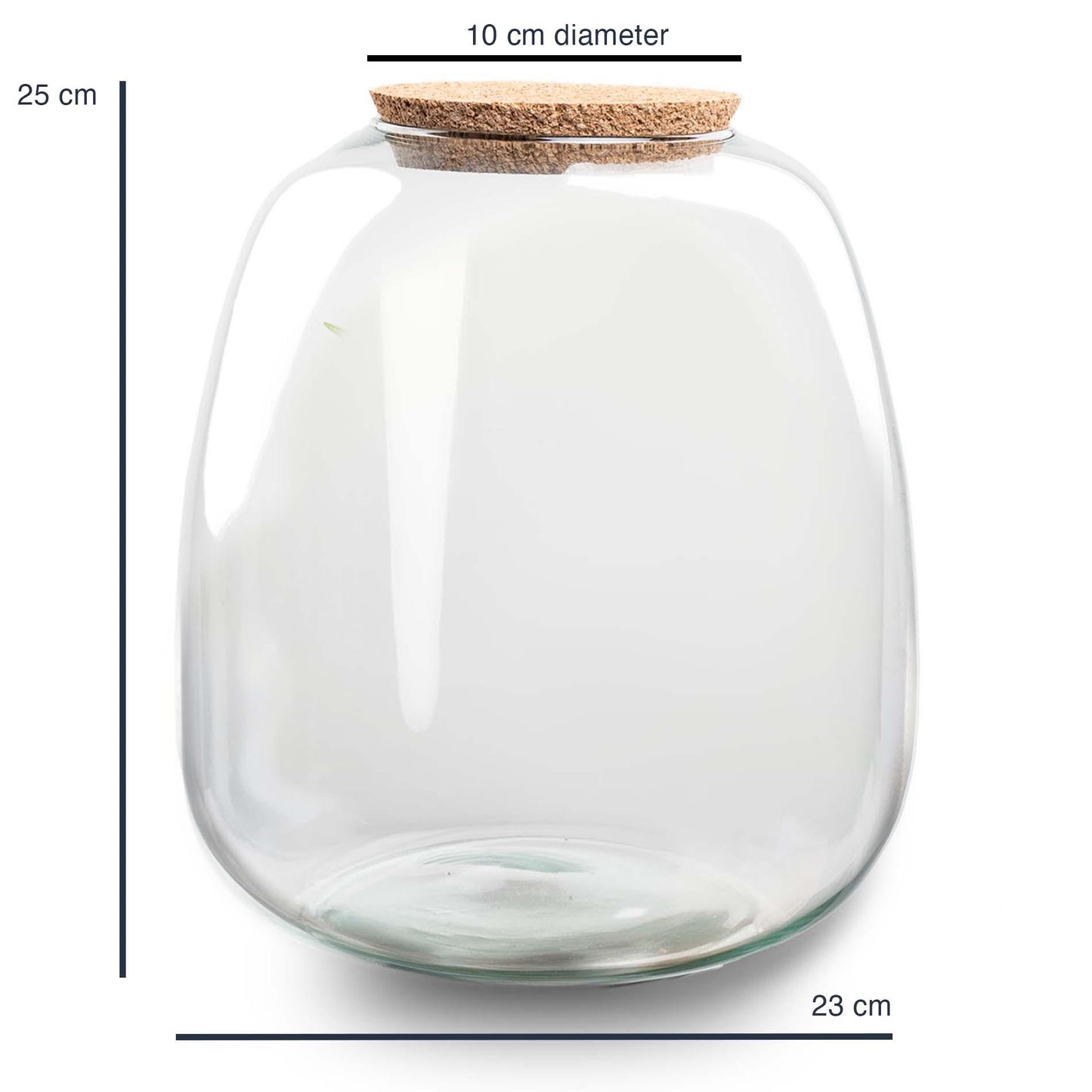 Terrariumflasche 'Emma' 25x23 cm - Glas - Pflanzfix24