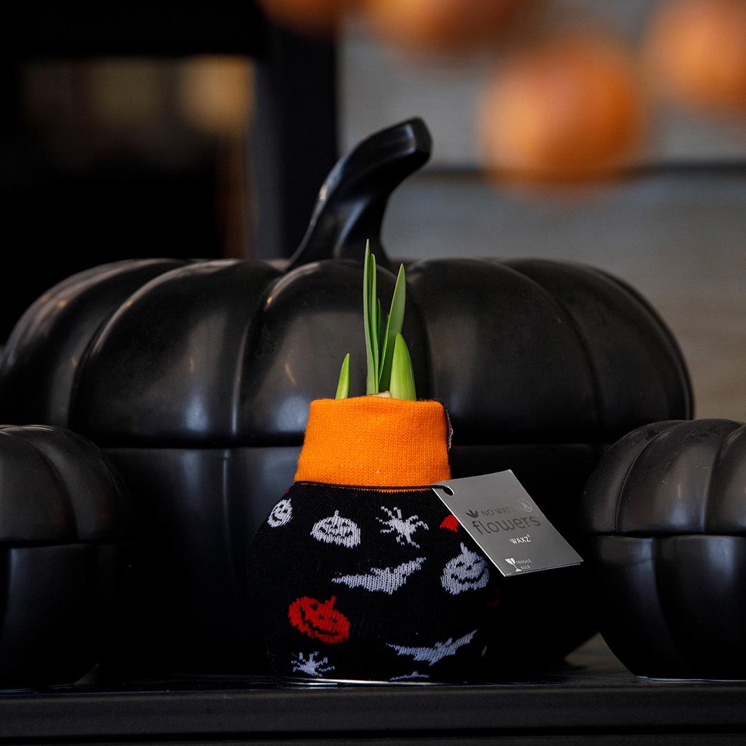 No Water Flowers® Fashionz Halloween - Black + Red flower - Pflanzfix24