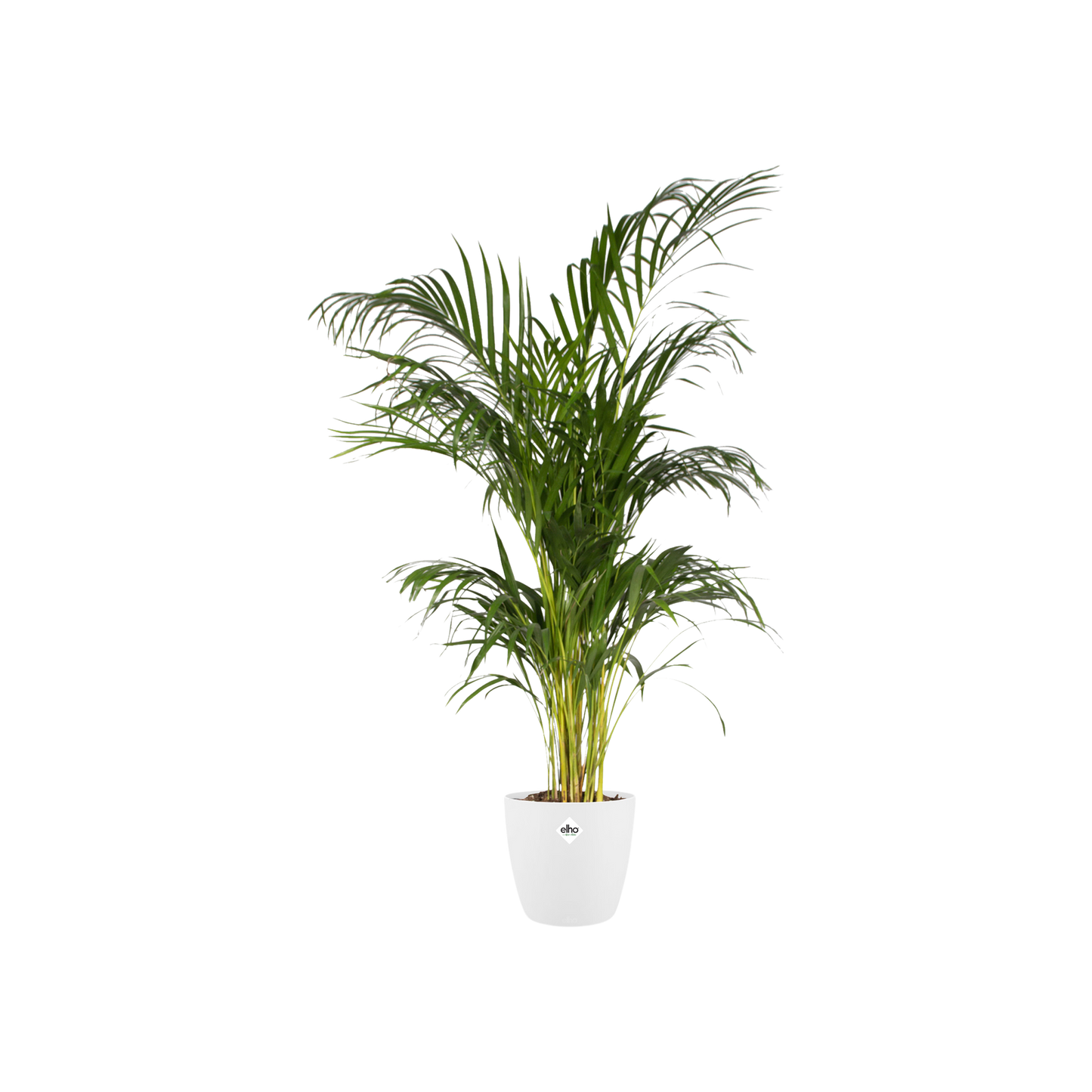 Pot elho Brussels Round Weiß Ø30cm | Pflanzfix24