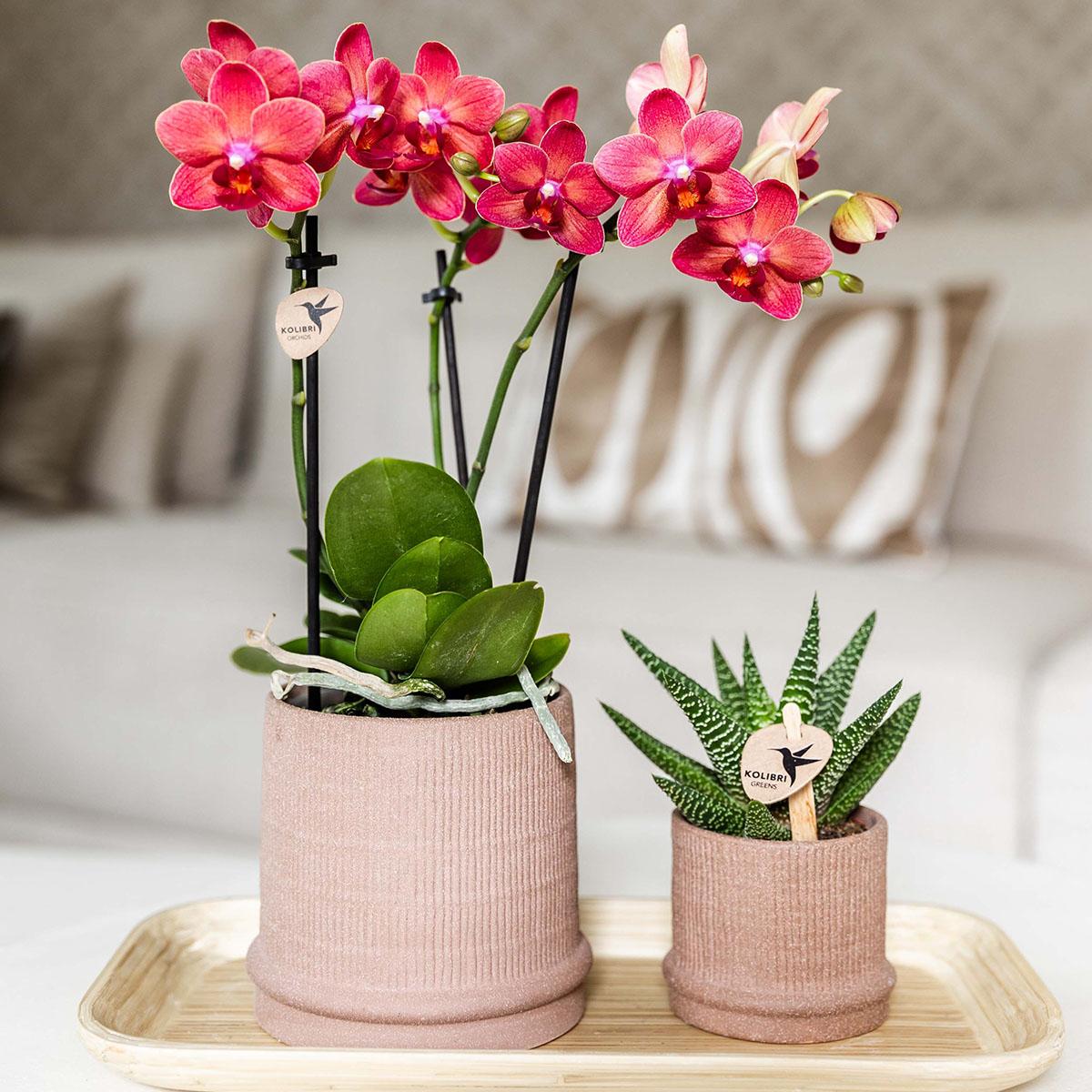 Bali Blumentopf Sand Ø9cm - Minimalistischer Keramiktopf mit Rillenstruktur | Pflanzfix24.de - Pflanzfix24.de