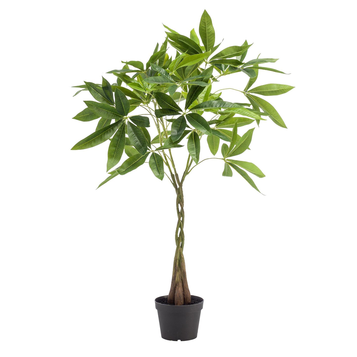 Kunstpflanze Pachira Aquatica Geldbaum 90 cm | Pflanzfix24.de - Pflanzfix24.de