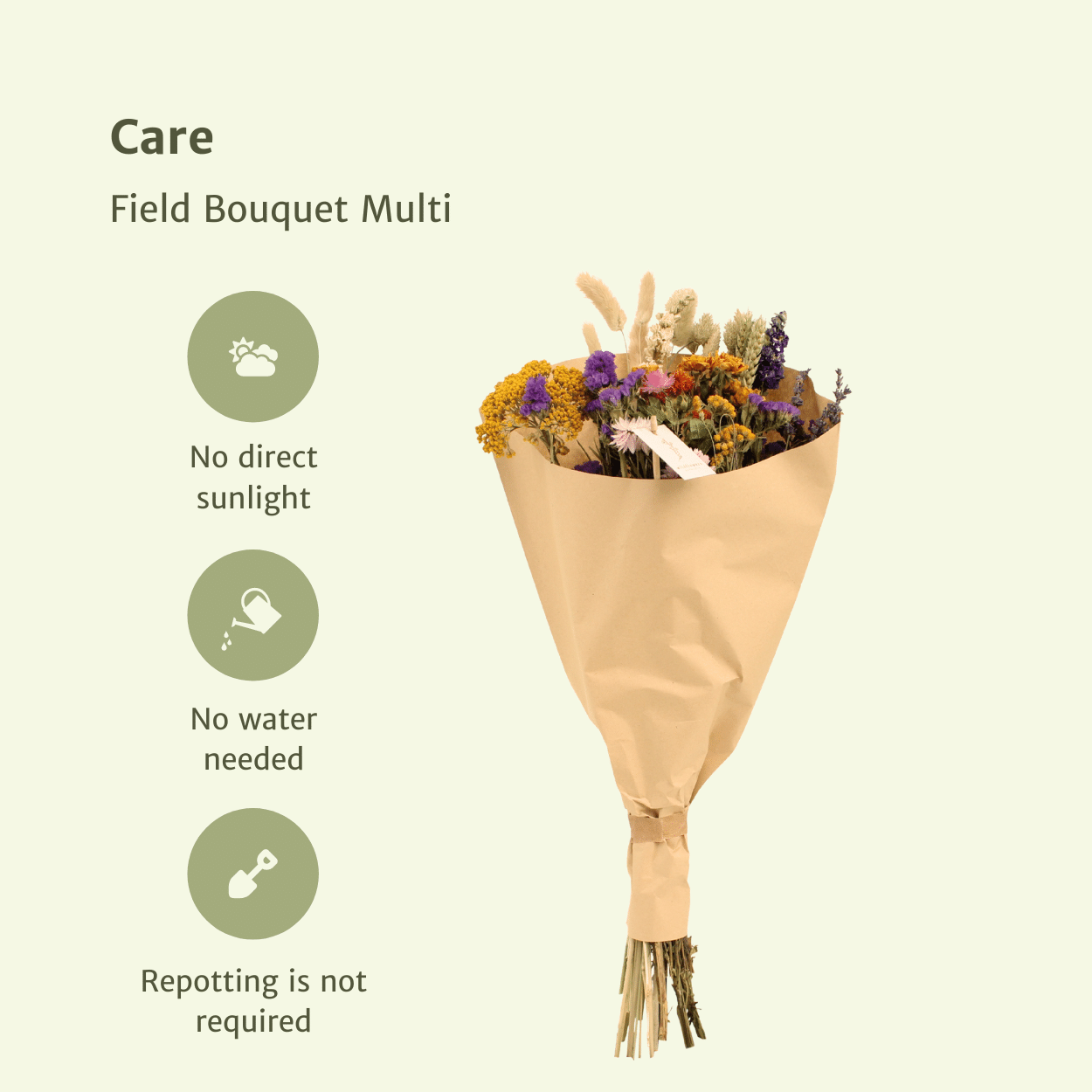 Trockenblumen Feldblumenstrauß Multi Ø25cm | Pflanzfix24.de - Pflanzfix24.de
